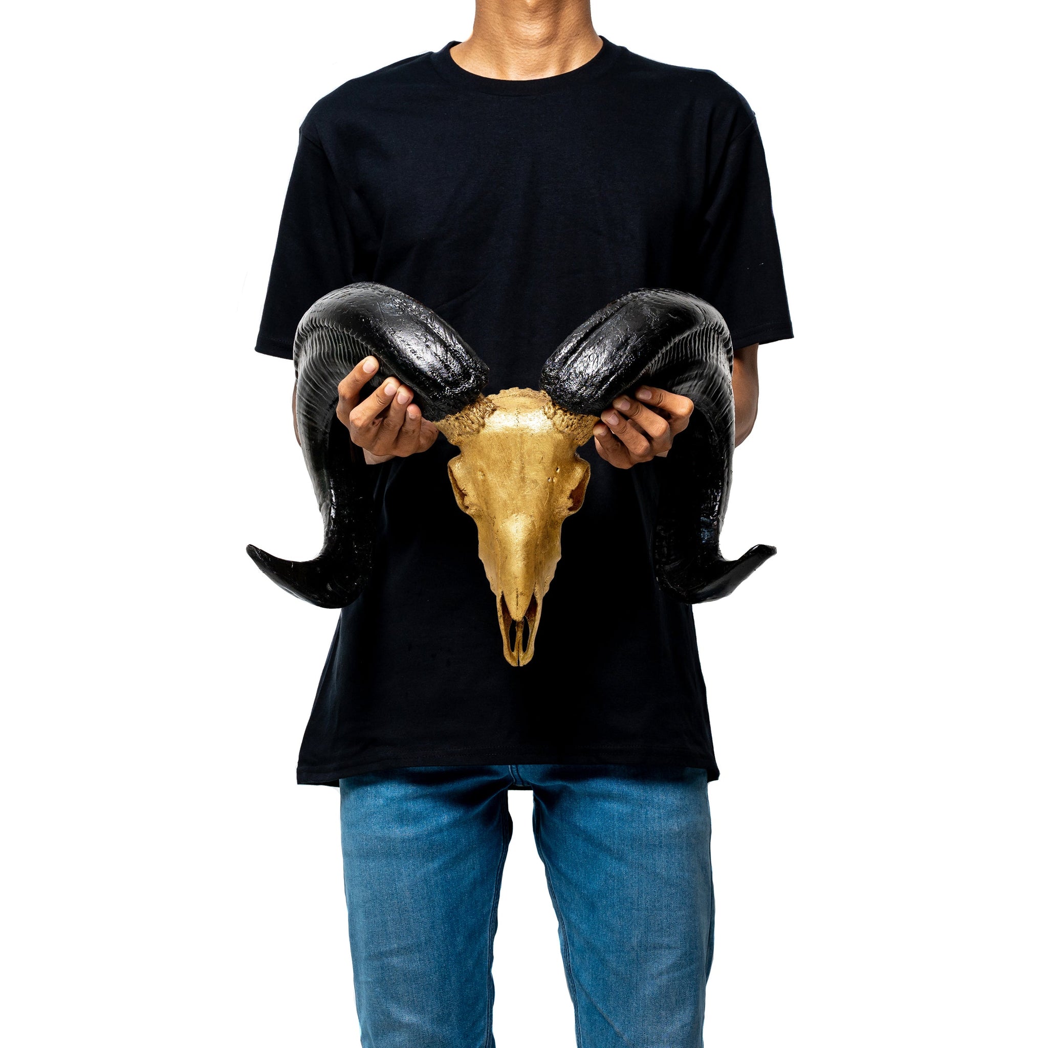 Ram Skull - Gold Leaf Storm