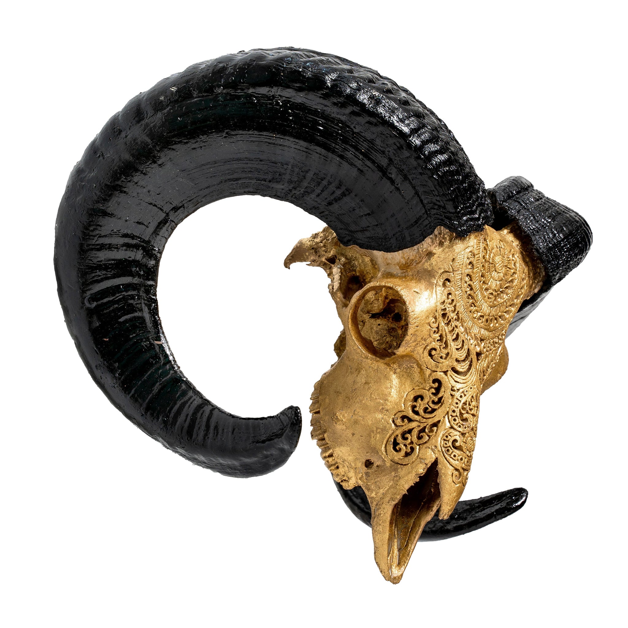 Hand Carved Ram Skull - Gold Leaf Boho