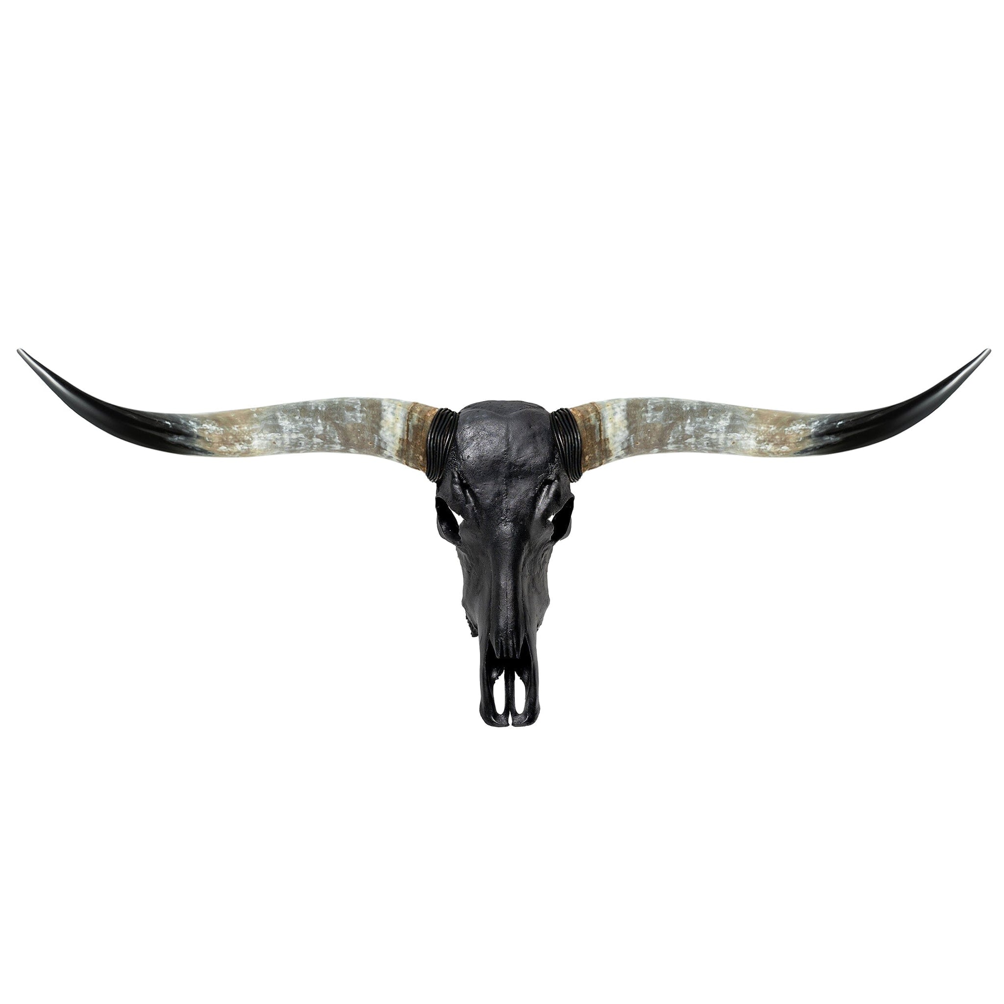 Longhorn Skull - Matte Black Storm