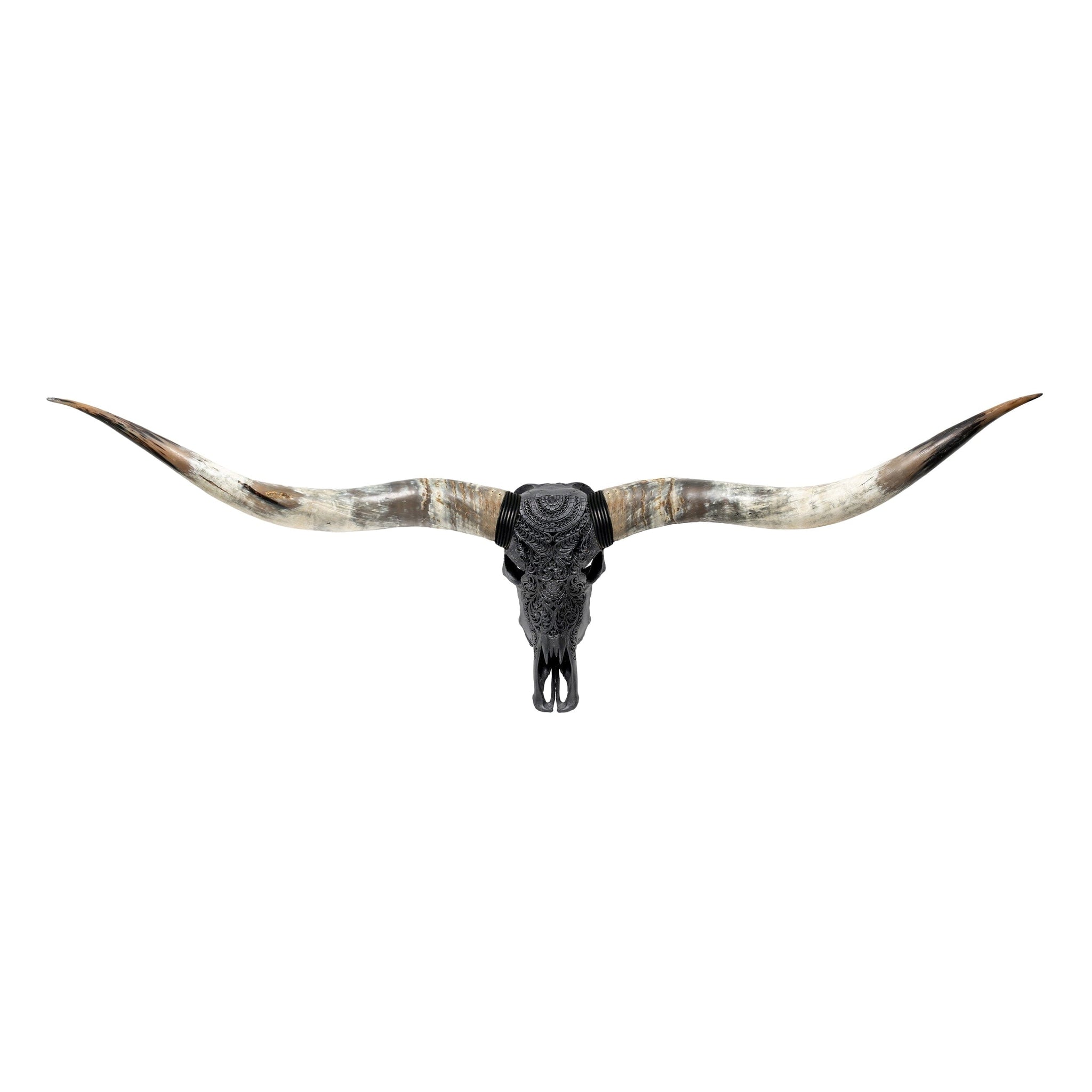 Hand Carved Longhorn Skull // XL Horns - Matte Black Boho