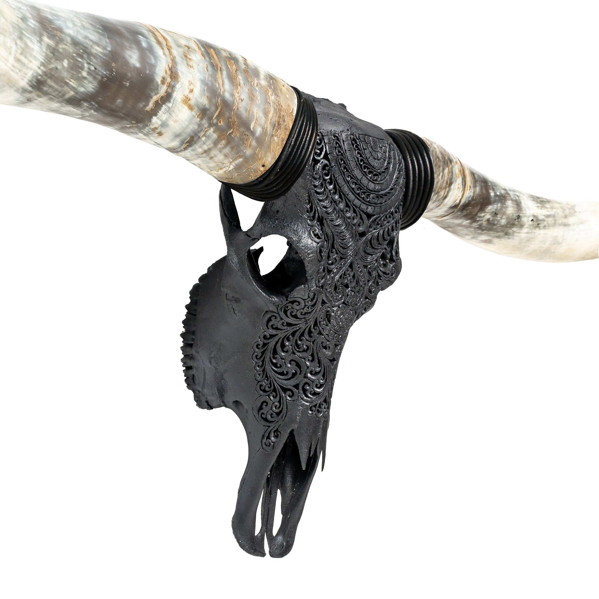 Hand Carved Longhorn Skull // XL Horns - Matte Black Boho