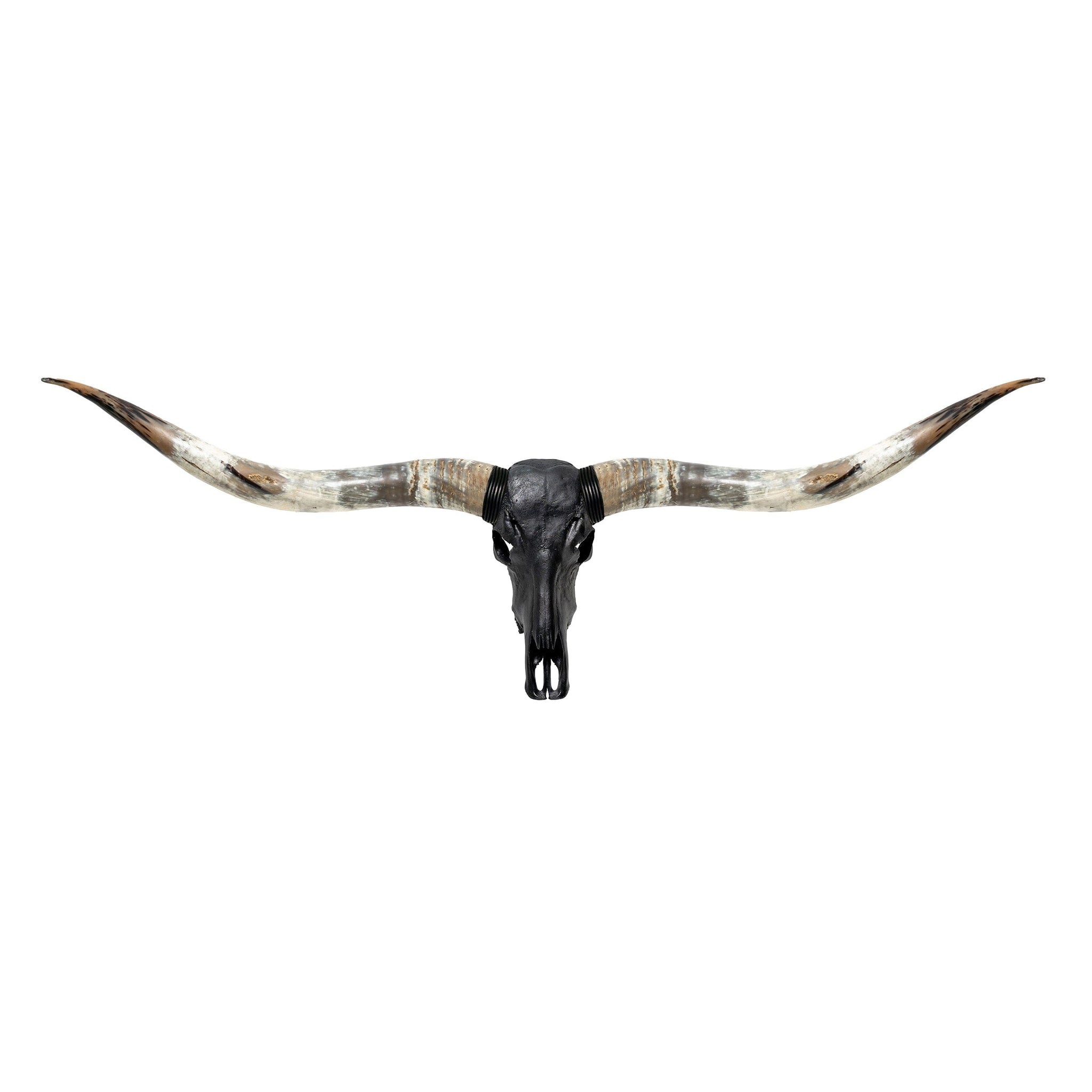 Longhorn Skull // XL Horns - Matte Black Storm