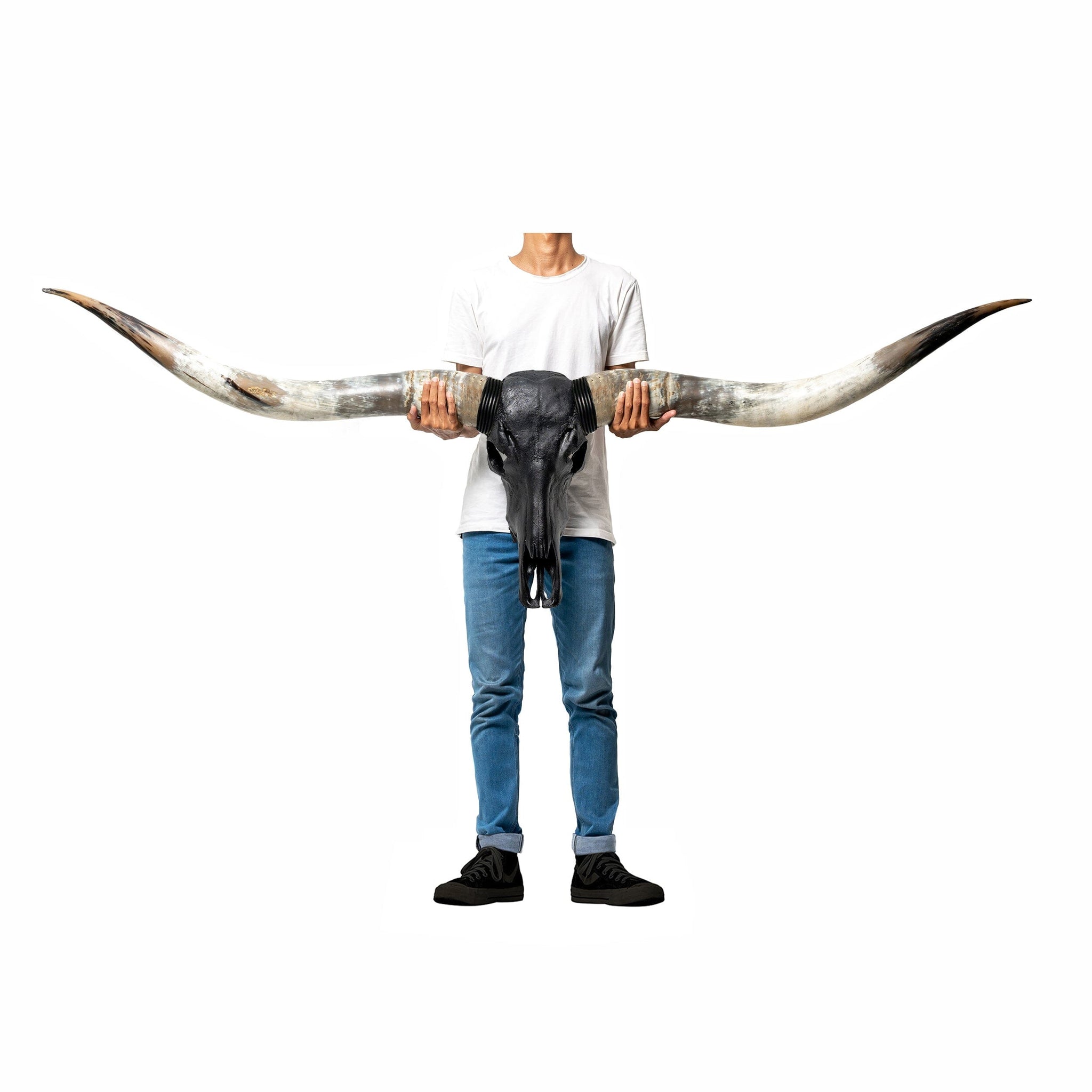 Longhorn Skull // XL Horns - Matte Black Storm