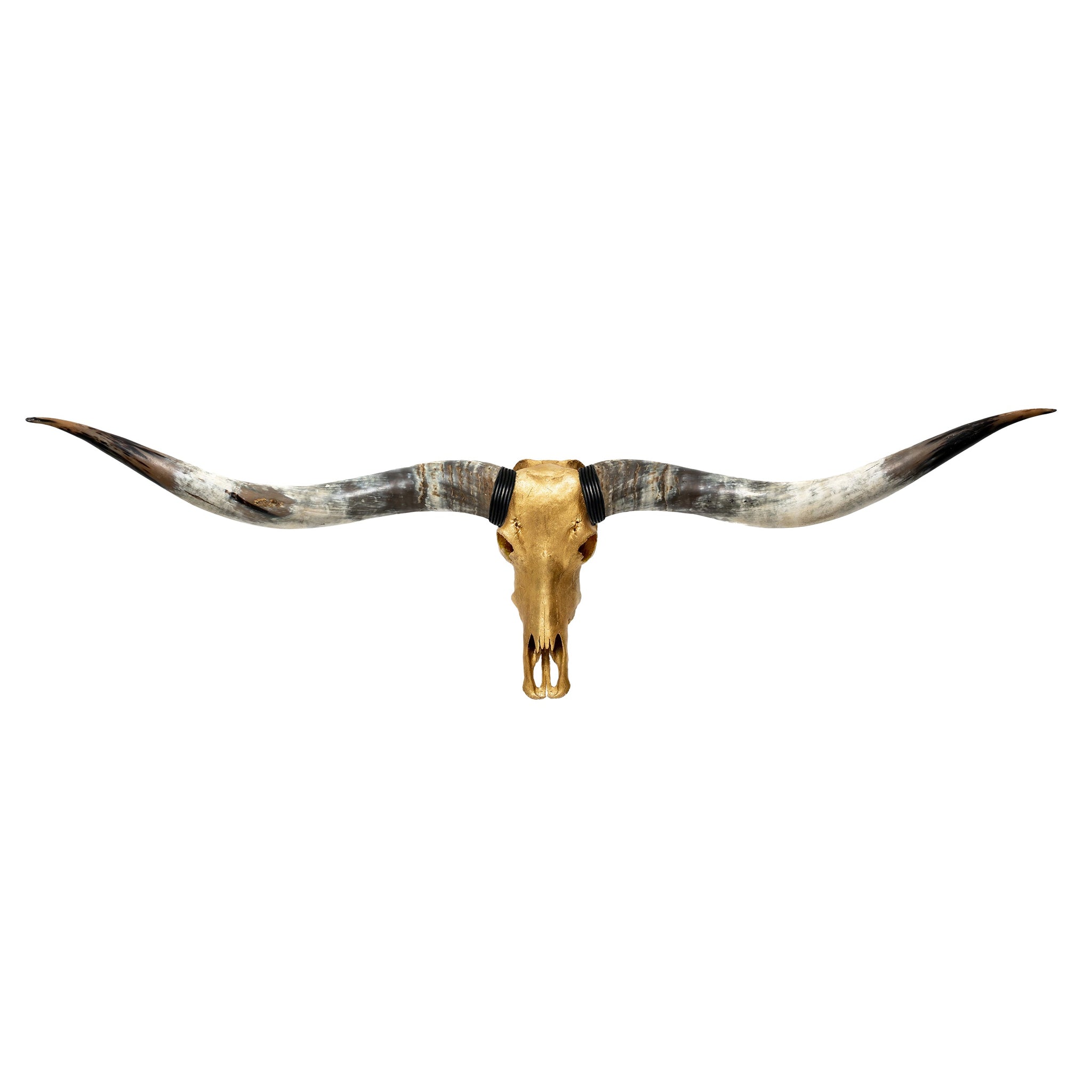 Longhorn Skull // XL Horns - Gold Leaf Storm