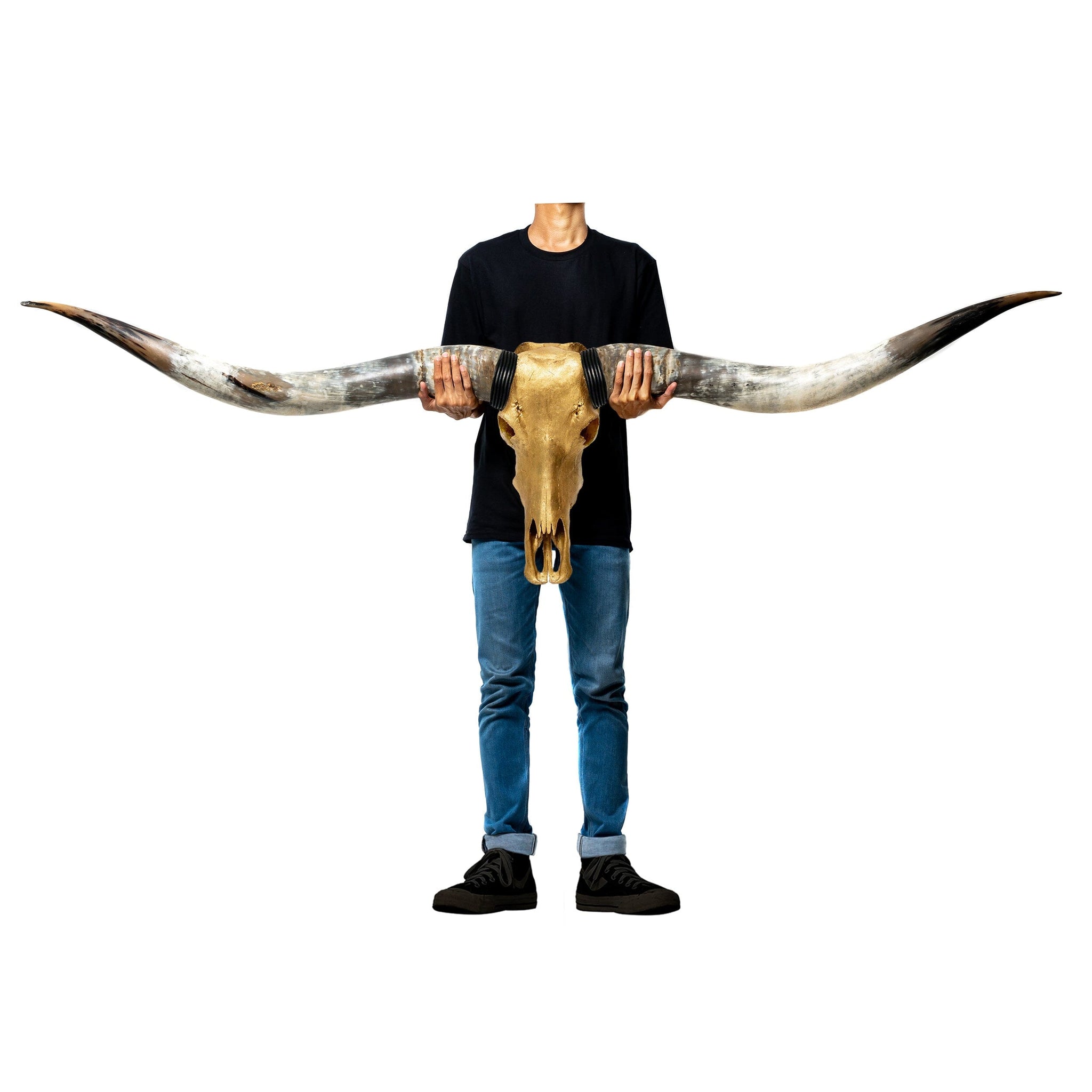 Longhorn Skull // XL Horns - Gold Leaf Storm