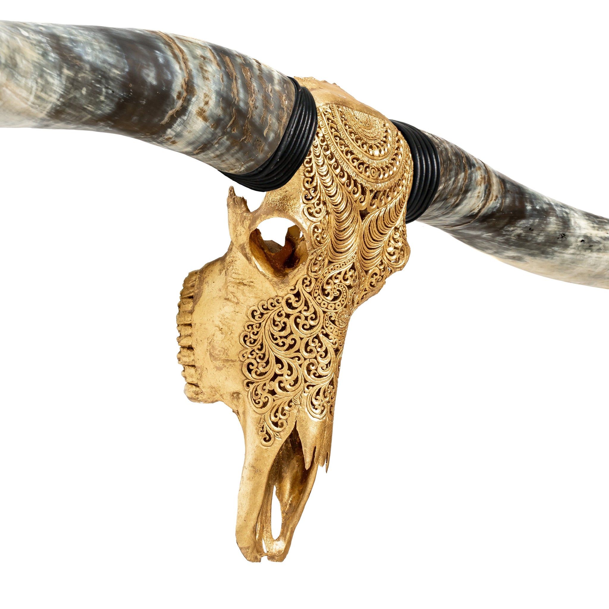 Hand Carved Longhorn Skull // XL Horns - Gold Leaf Boho