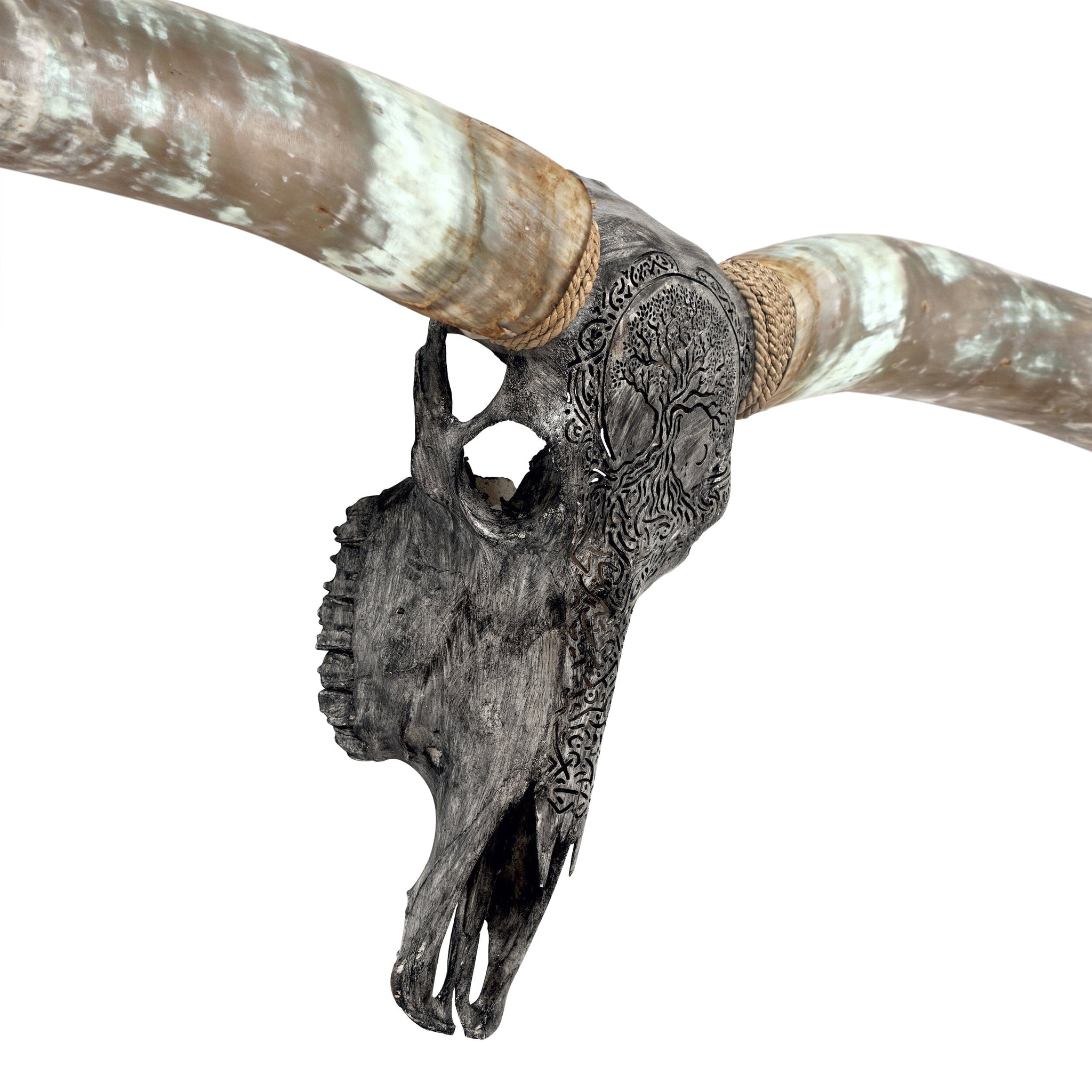 Hand Carved Longhorn Skull - Gray Yggdrasil