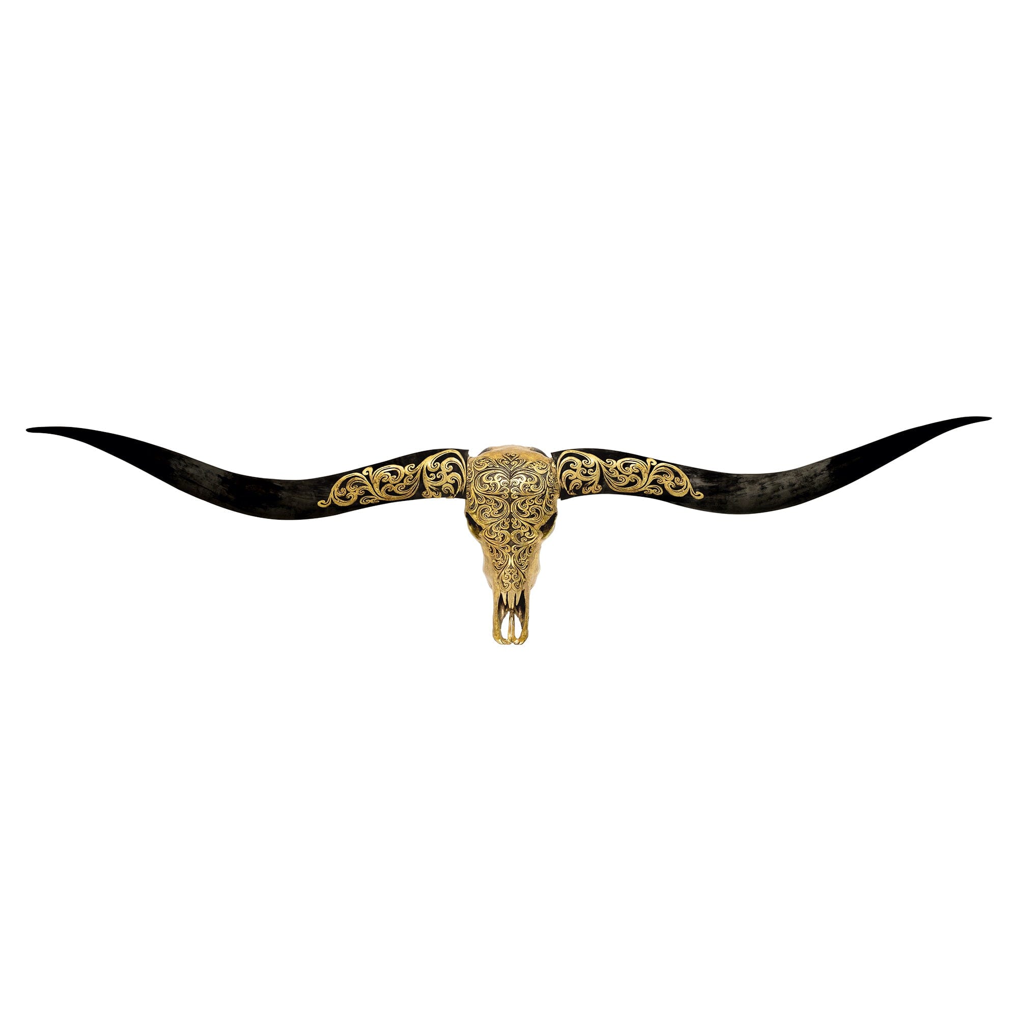 Longhorn Skull // XL Horns - Oriental Gold Metallic