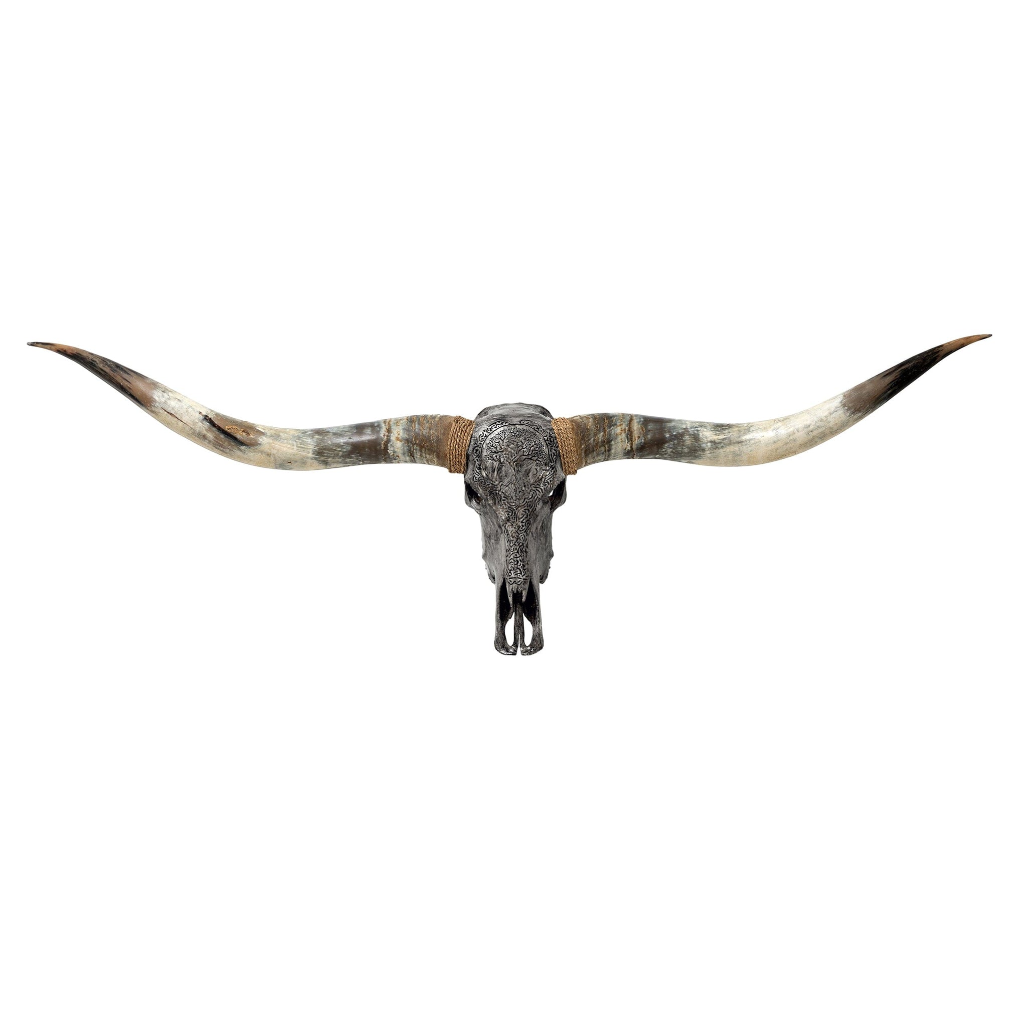 Hand Carved Longhorn Skull // XL Horns - Gray Yggdrasil