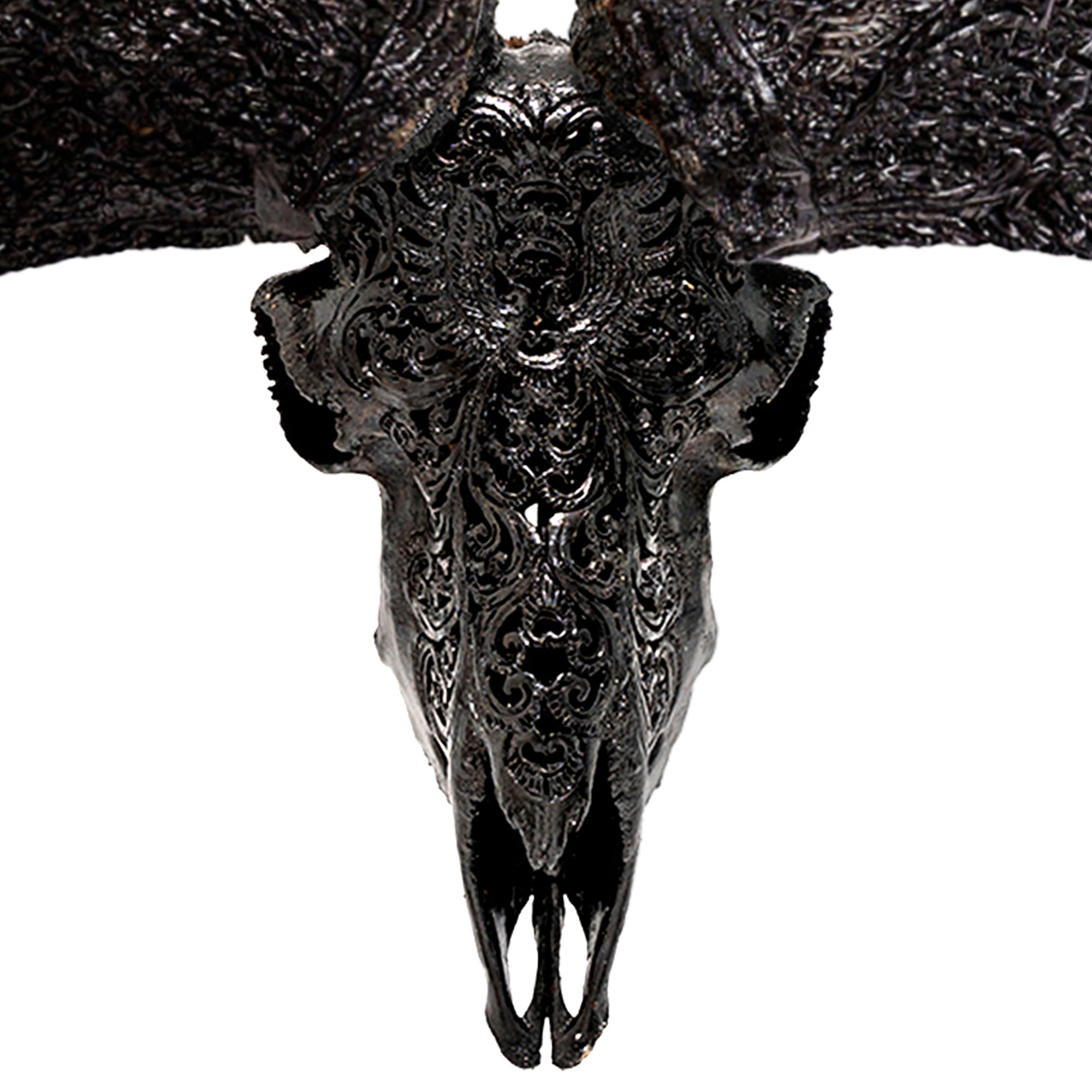 Hand Carved Ram Skull - Black Phoenix