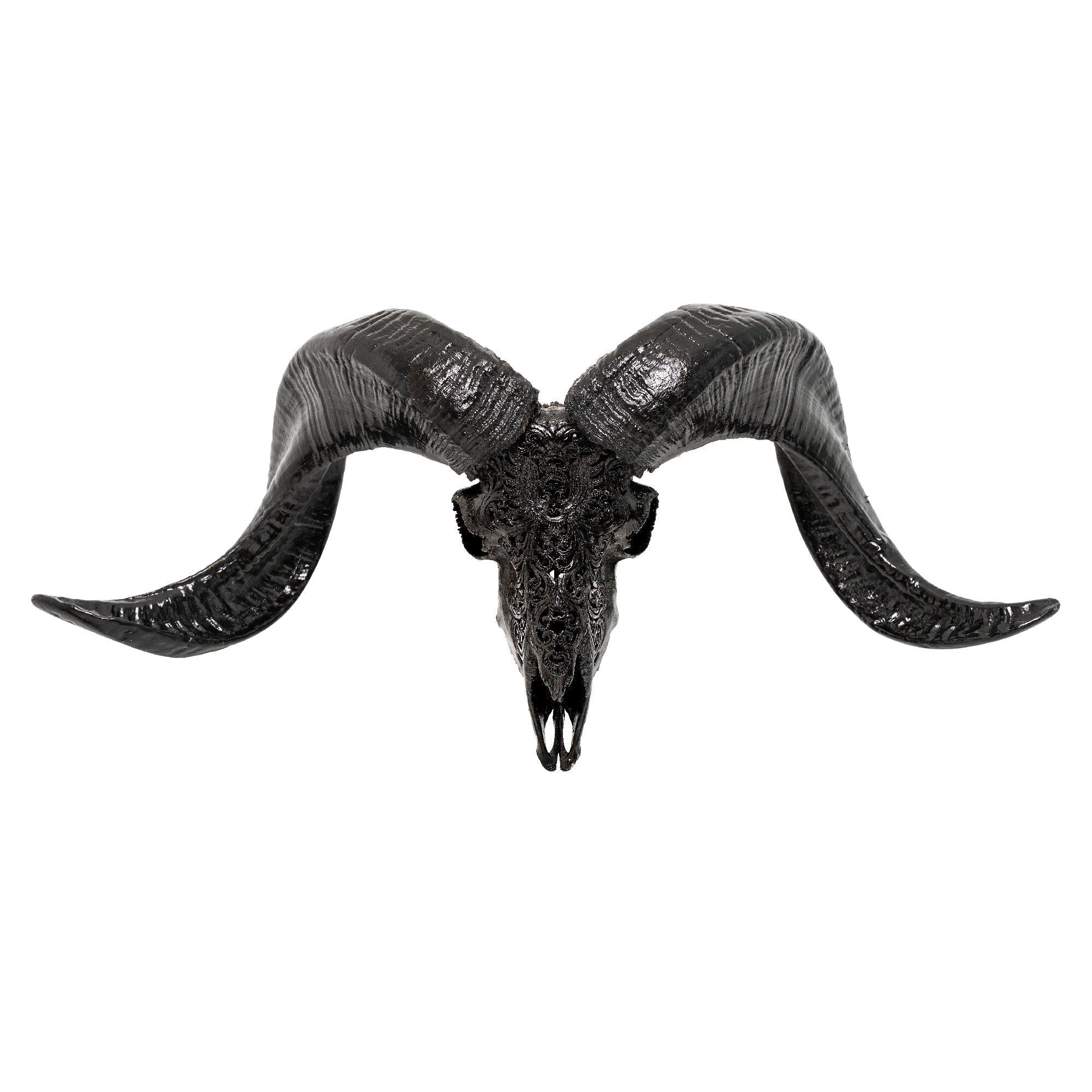 Hand Carved Ram Skull - Black Phoenix