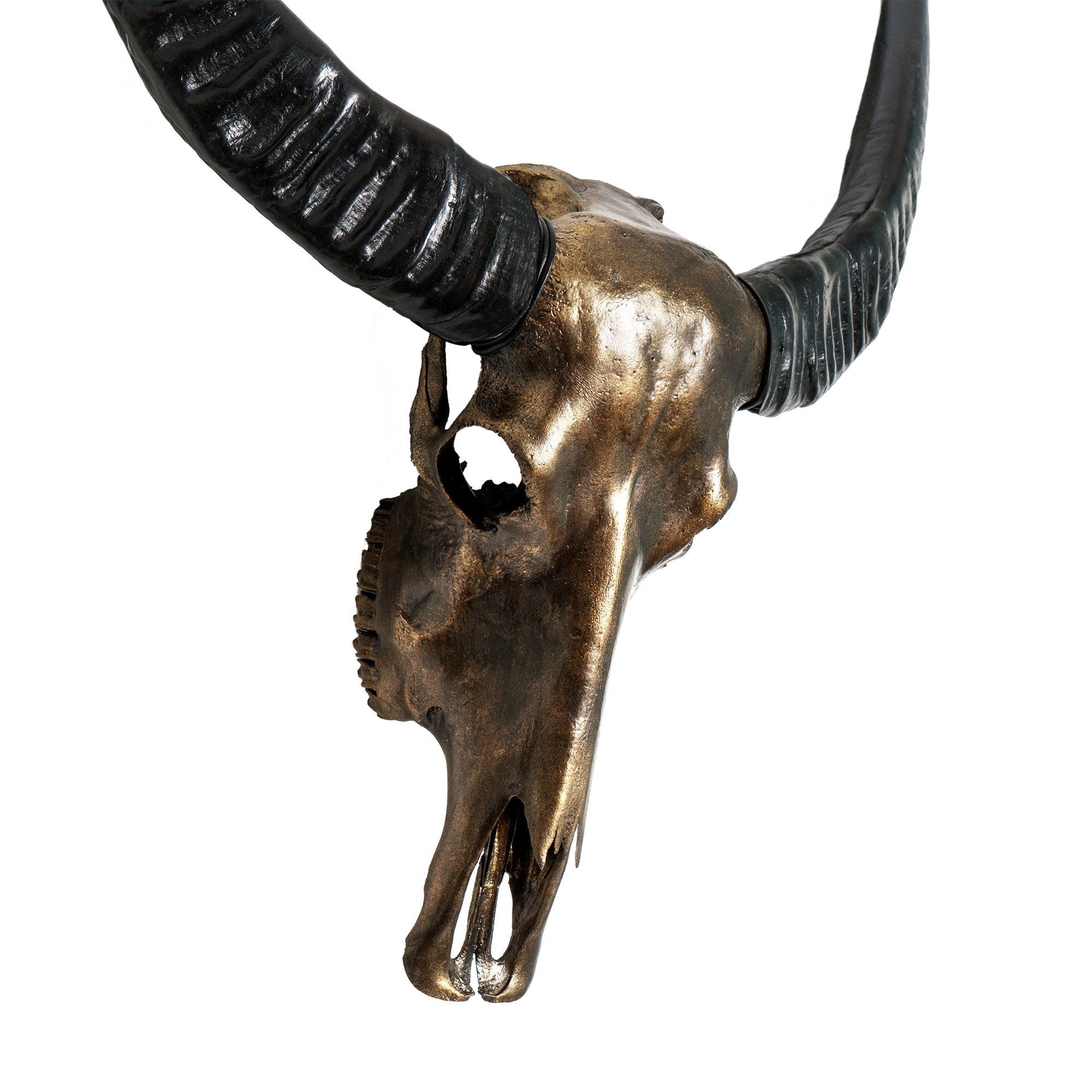 Buffalo Skull - Antique Bronze Storm // Metallic Finish