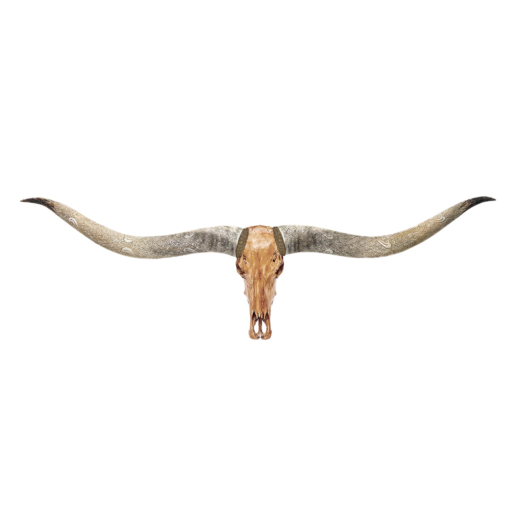 Longhorn Skull // XL Horns - Antique Storm