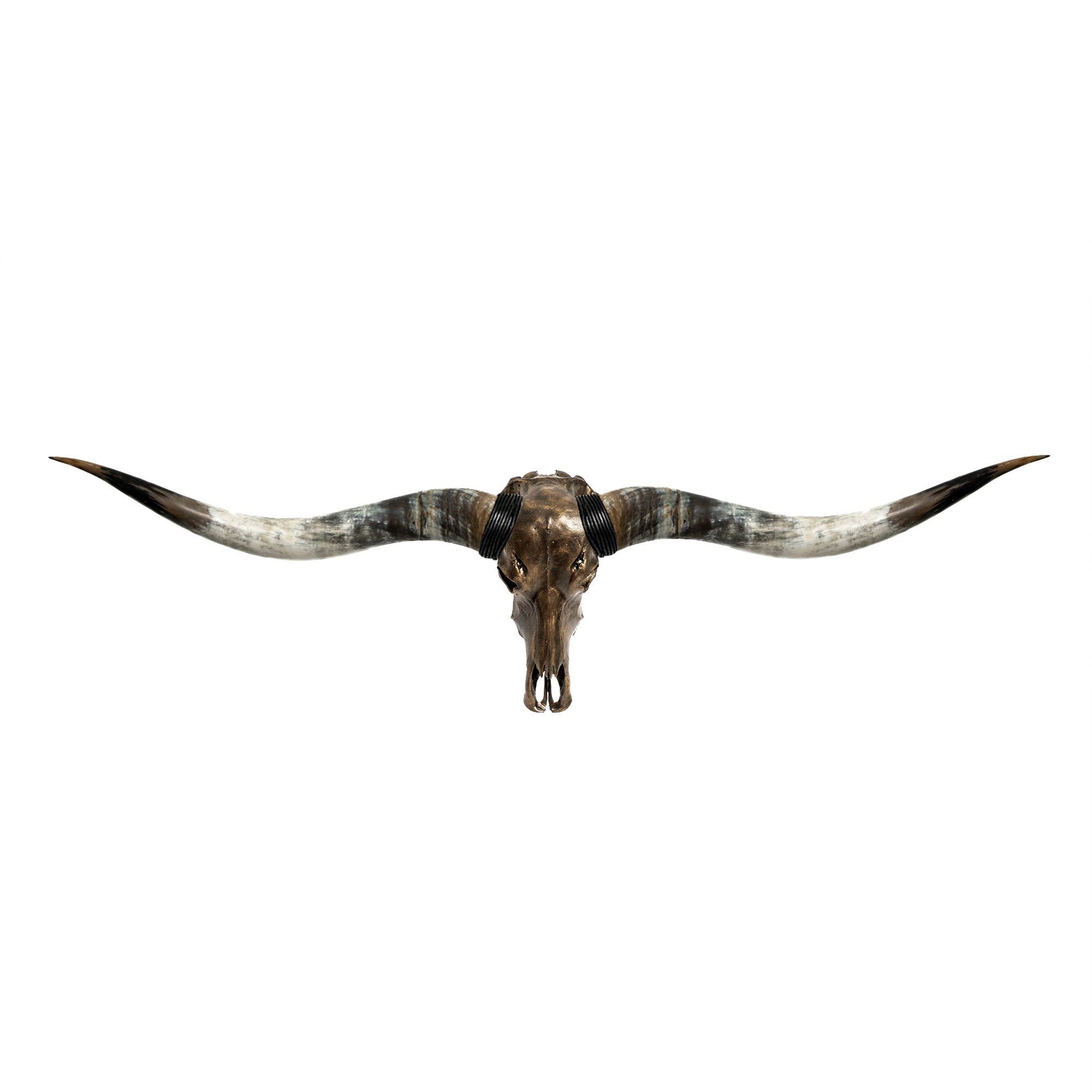 Longhorn Skull // XL Horns - Antique Bronze Storm // Metallic Finish