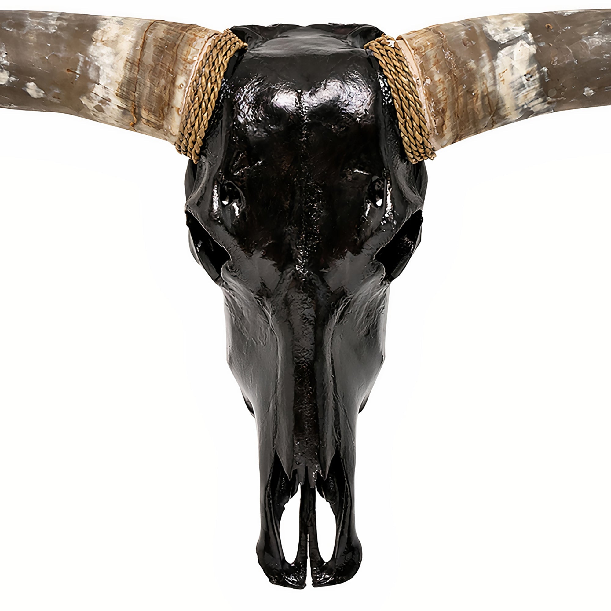 Longhorn Skull - Black Storm