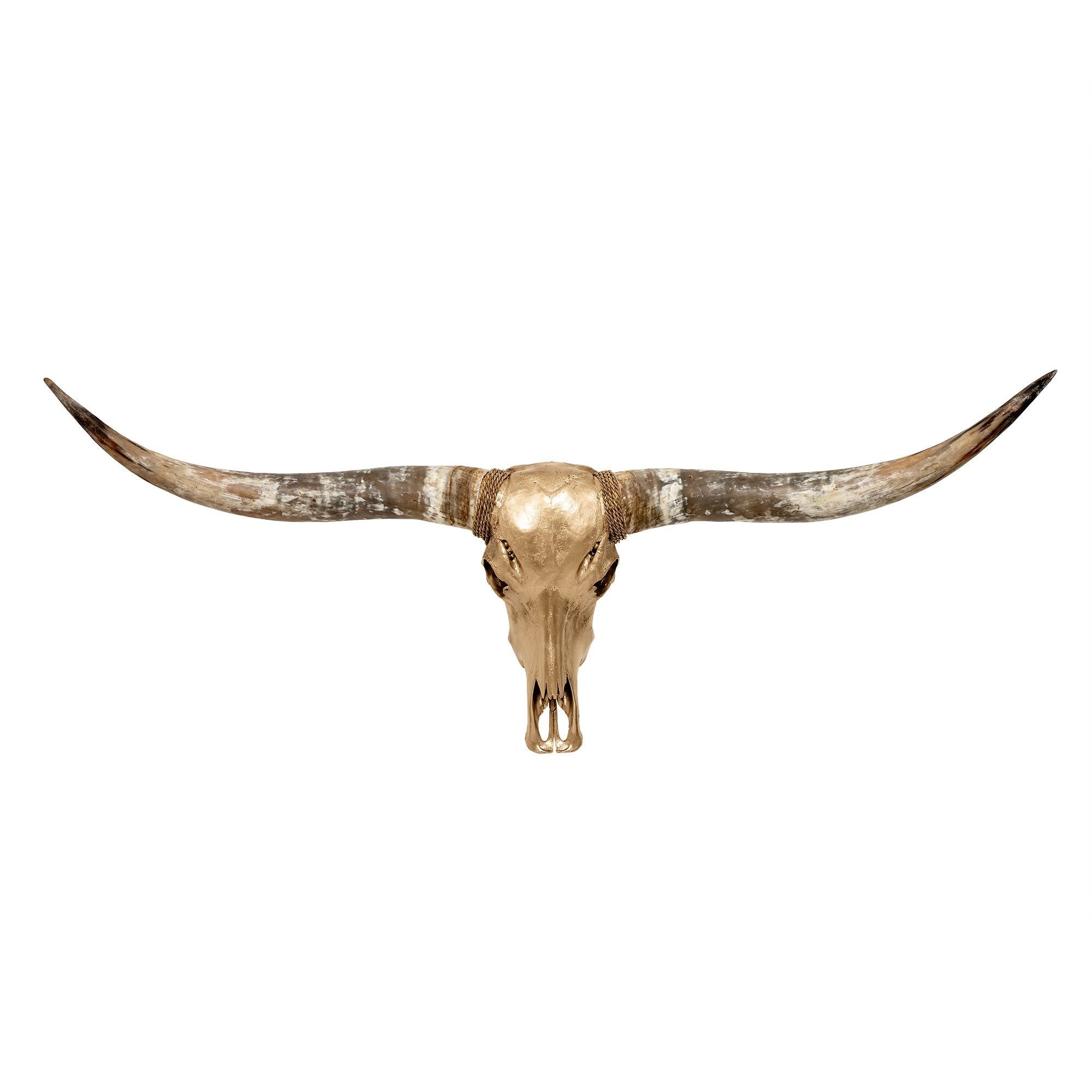 Longhorn Skull - Golden Storm