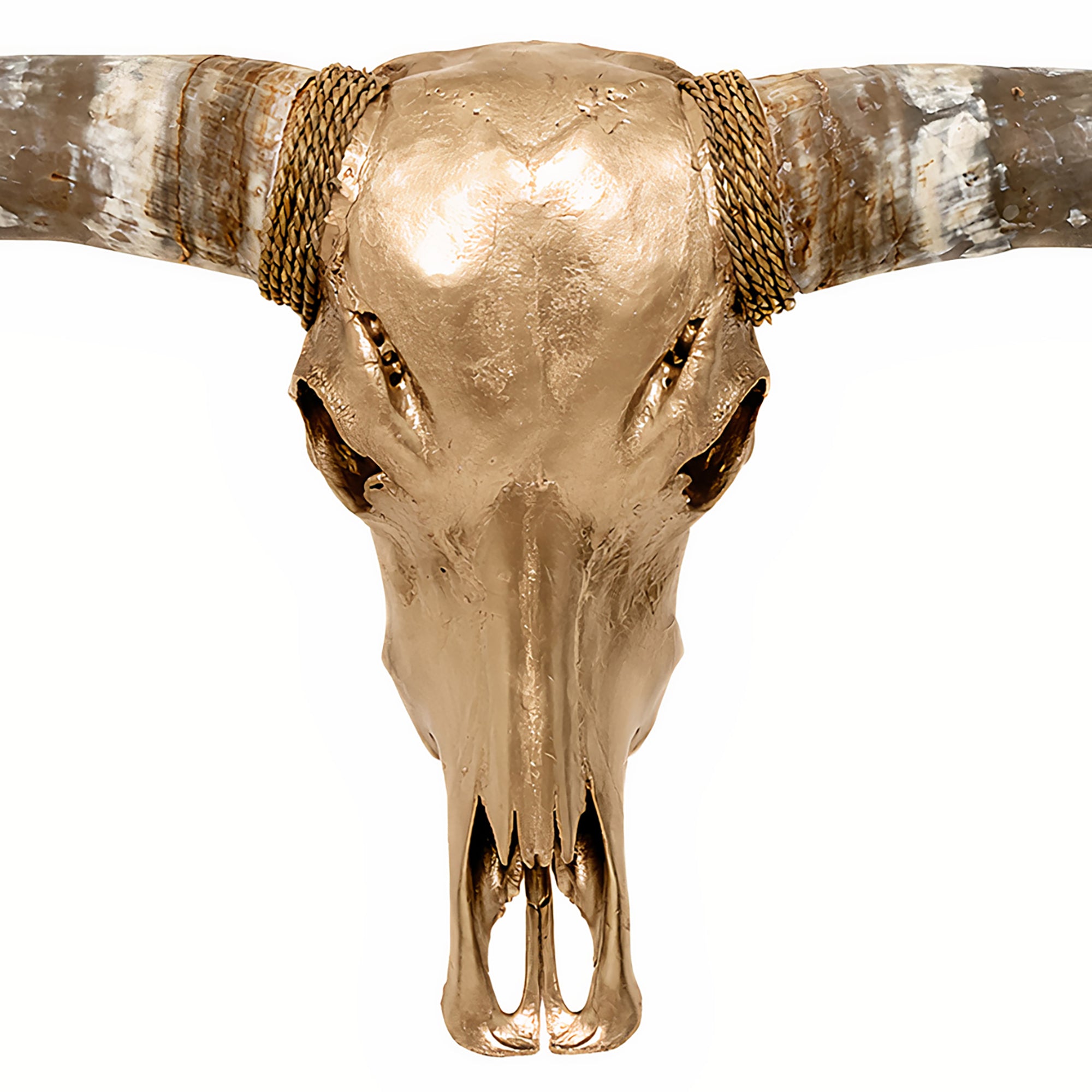 Longhorn Skull - Golden Storm
