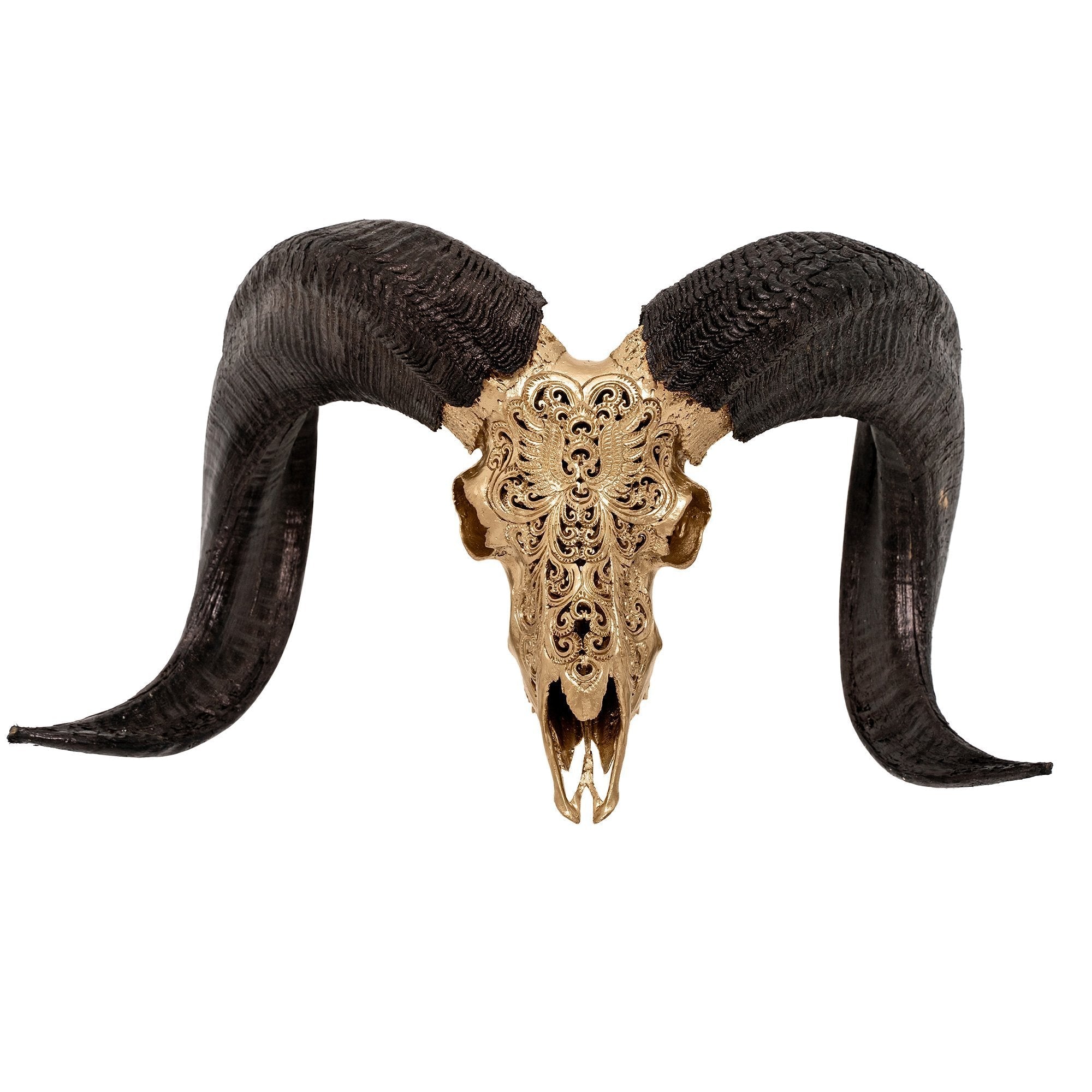 Hand Carved Ram Skull - Golden Phoenix