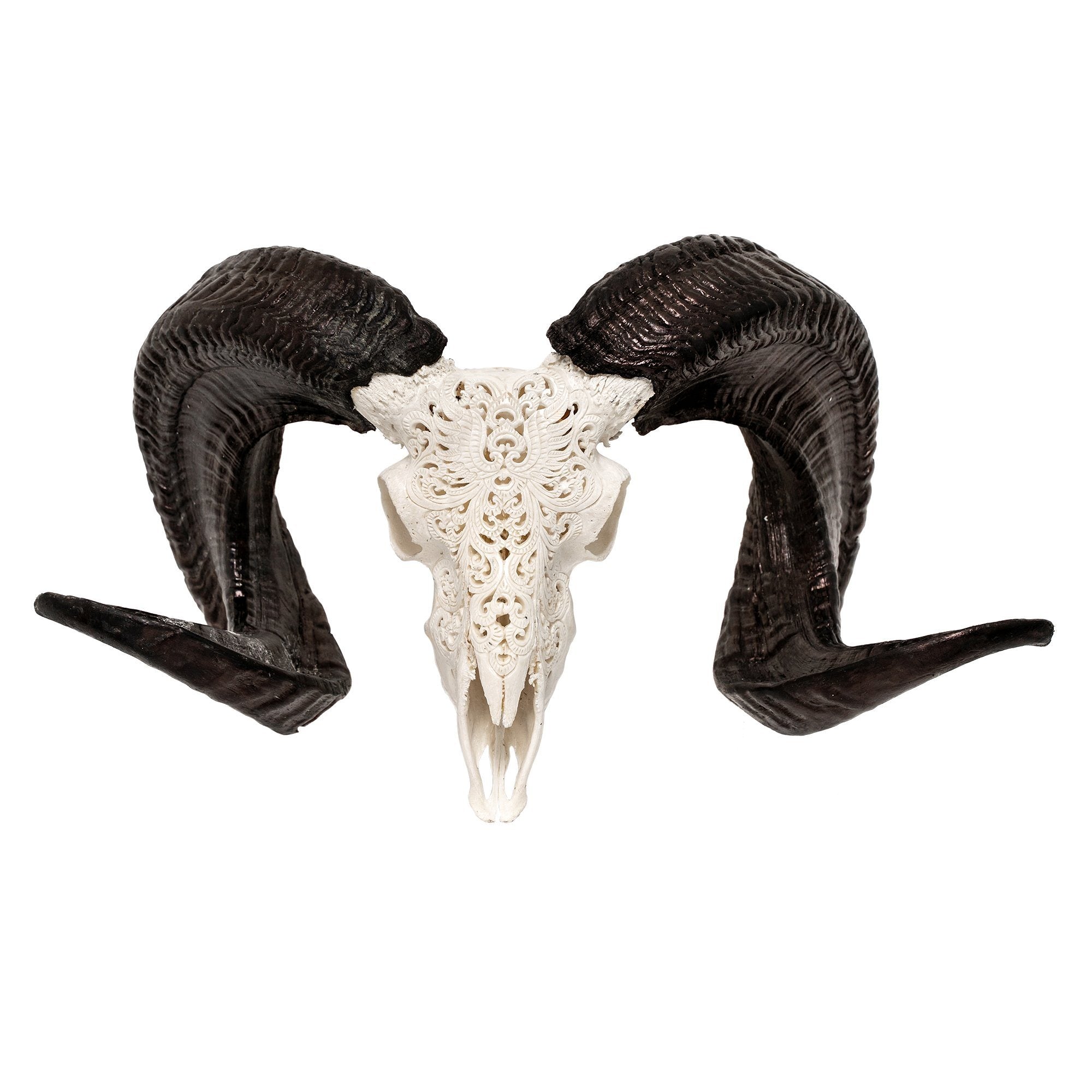 Hand Carved Ram Skull - White Phoenix