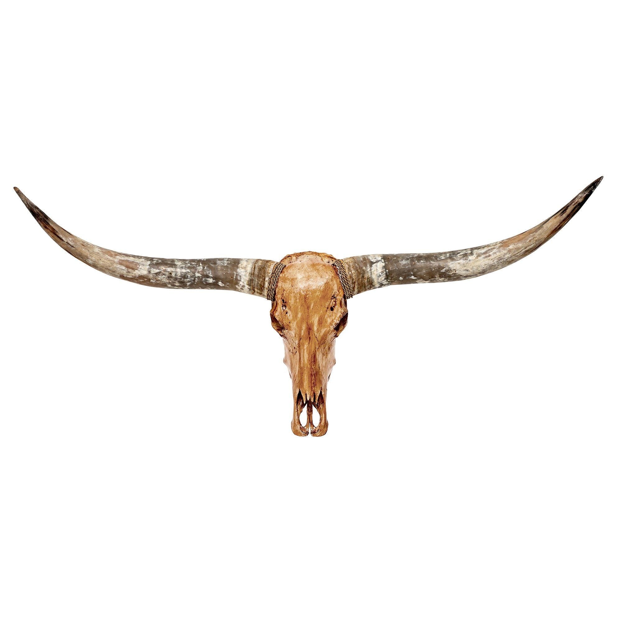 Longhorn Skull - Antique Storm
