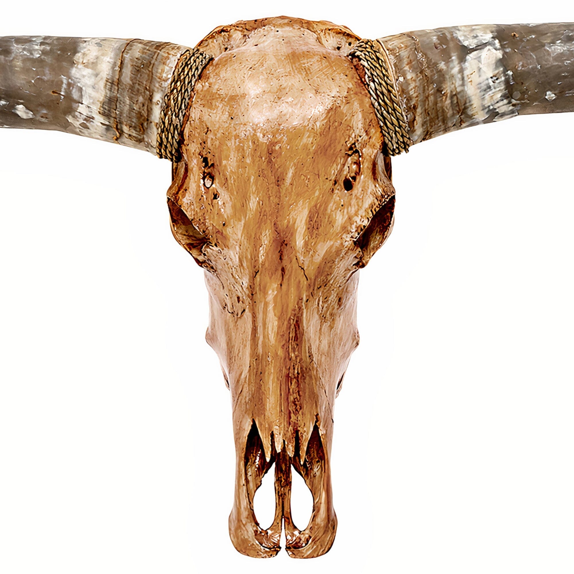 Longhorn Skull - Antique Storm