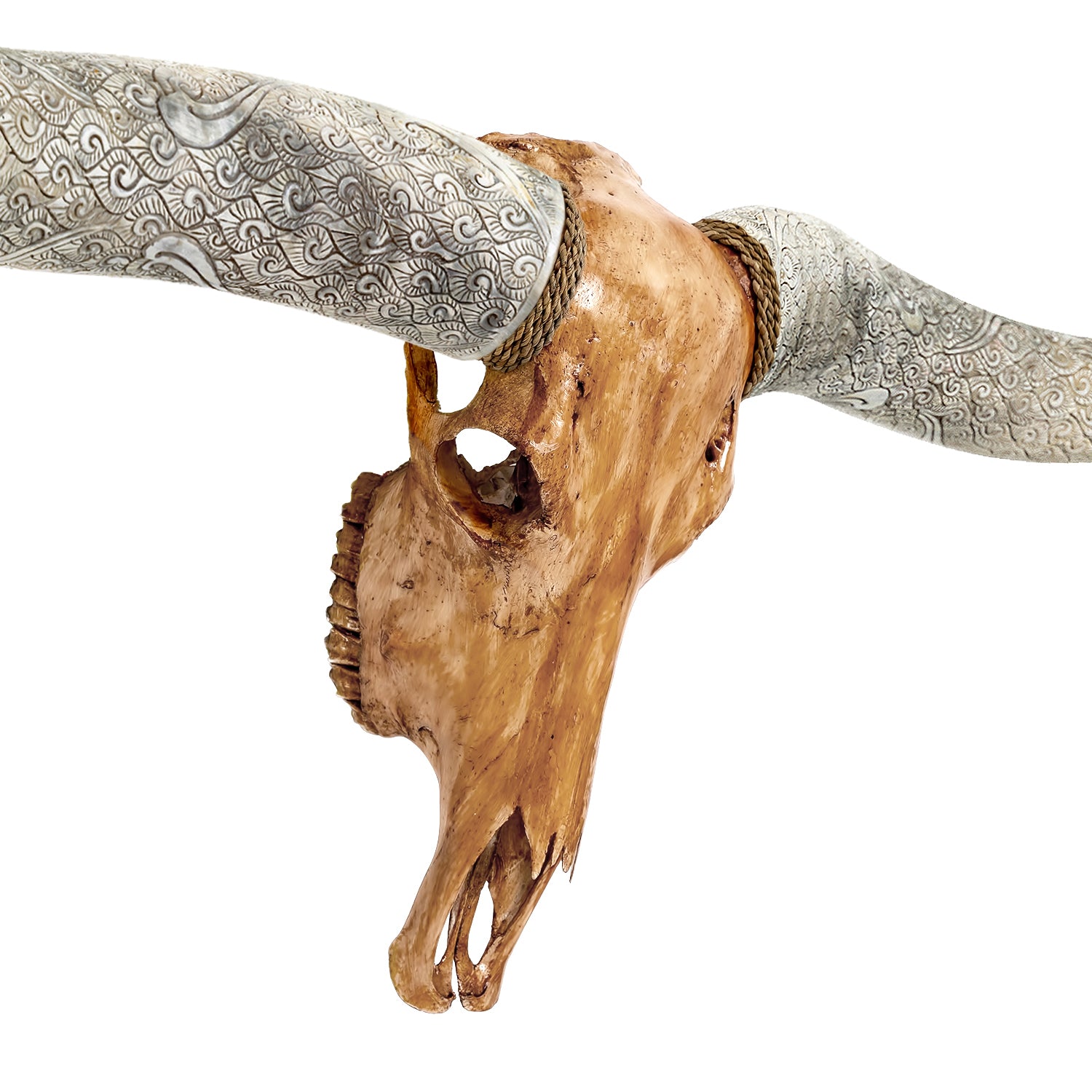 Longhorn Skull // XL Horns - Antique Storm