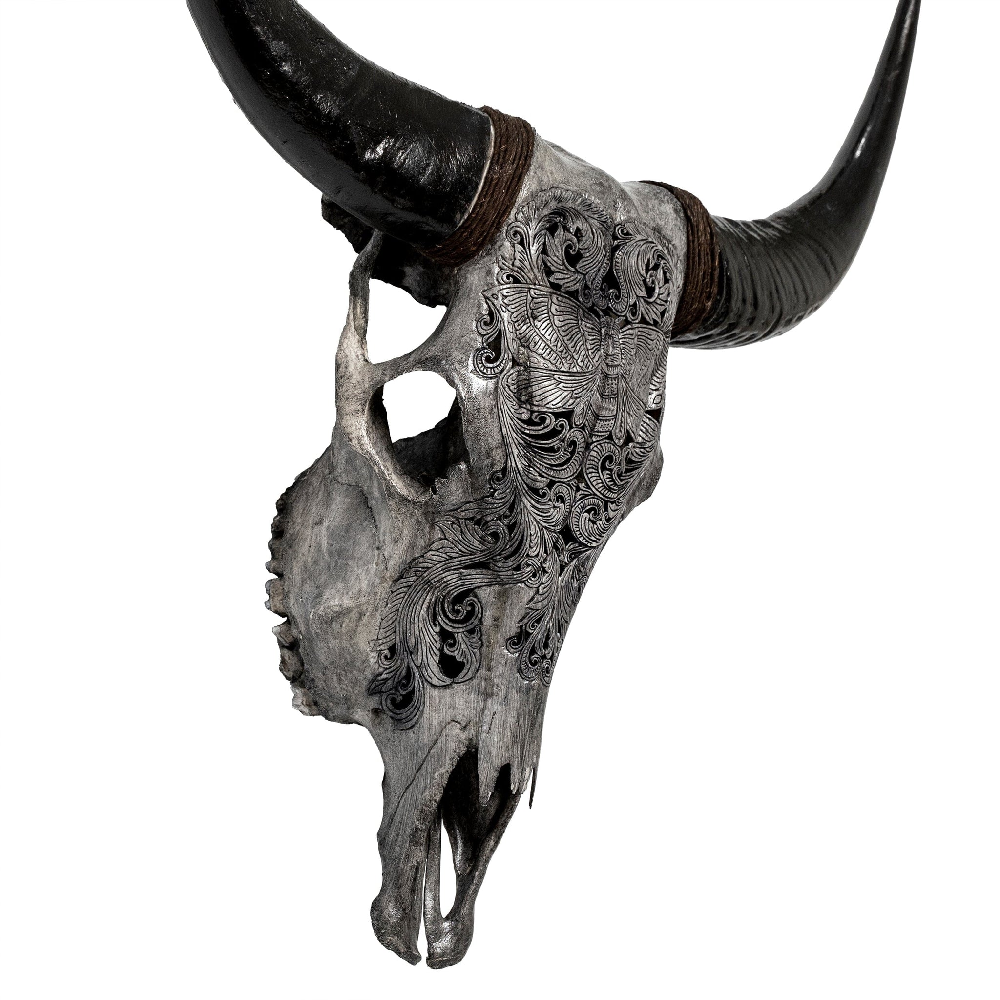 Hand Carved Cow Skull - Gray Moth