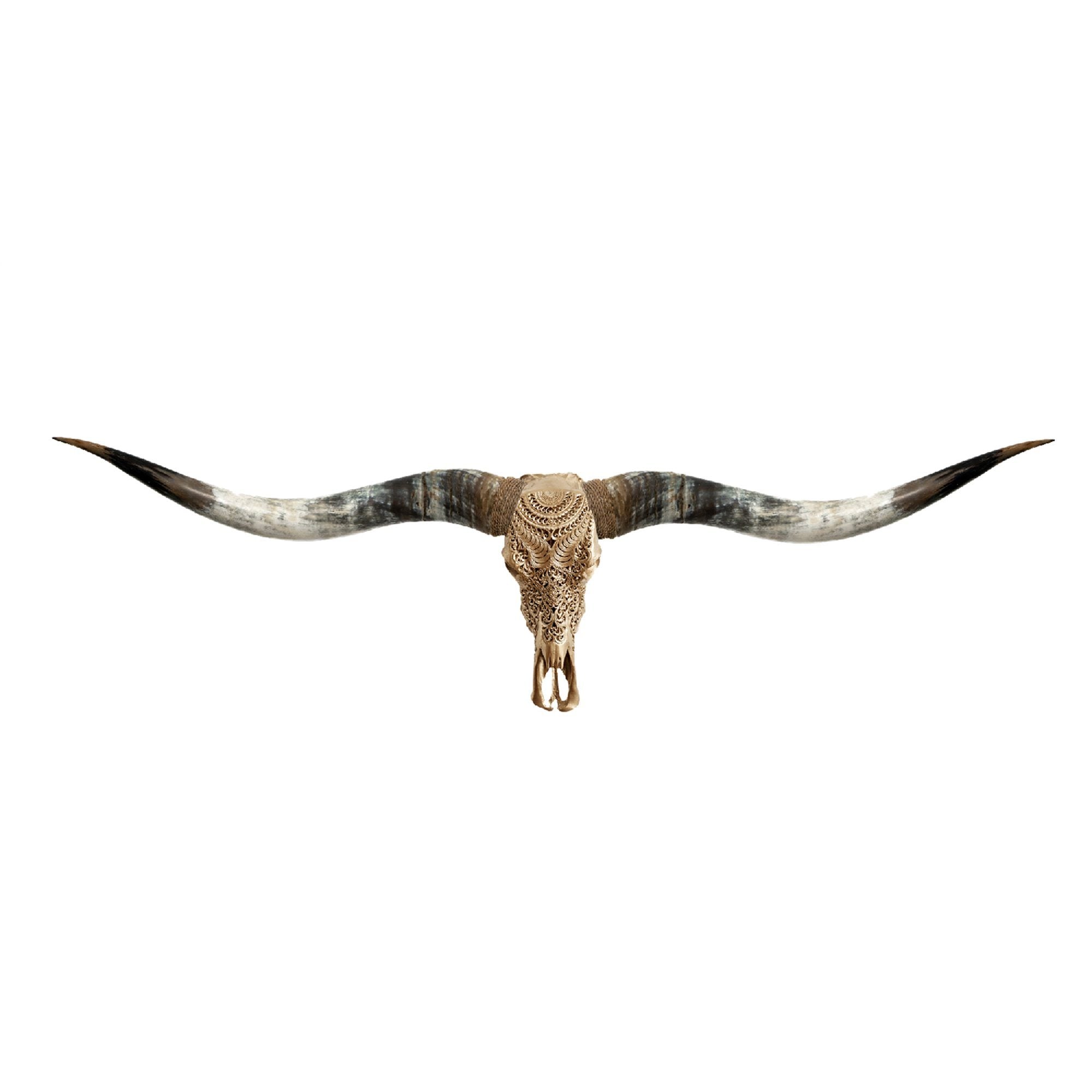 Hand Carved Longhorn Skull // XL Horns -  Golden Boho