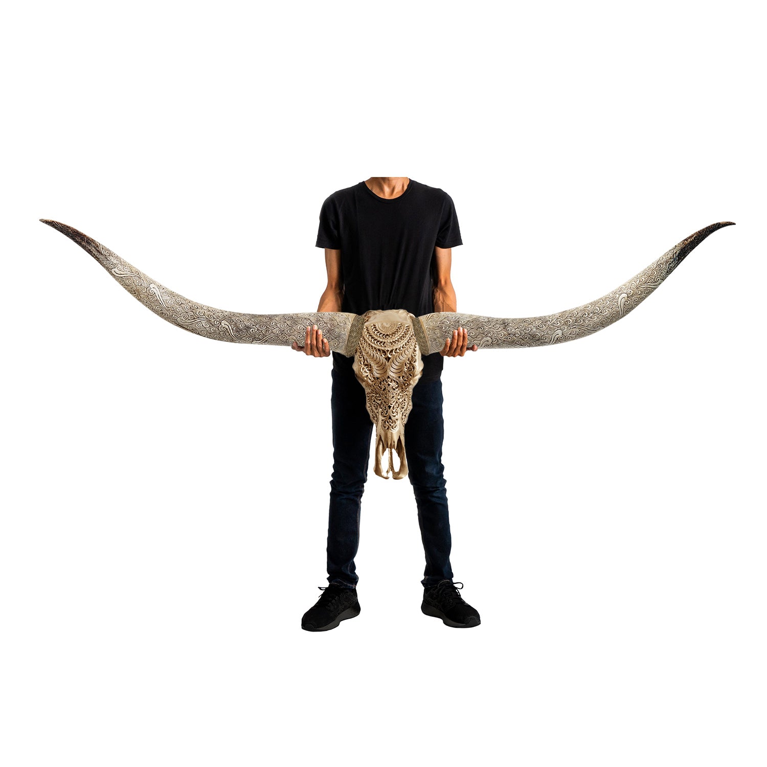 Hand Carved Longhorn Skull // XL Horns -  Golden Boho