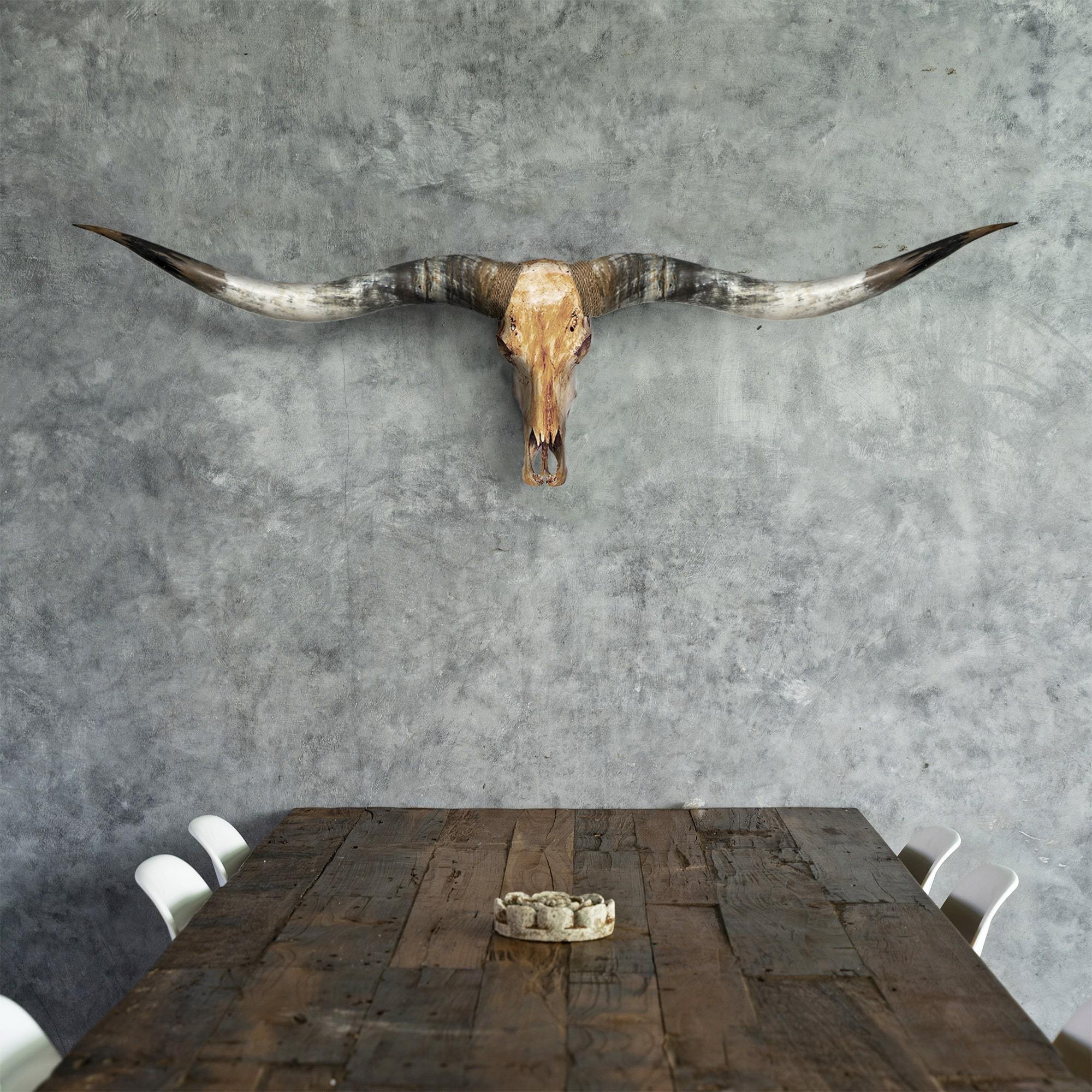 Longhorn Skull // XL Horns - Antique Storm