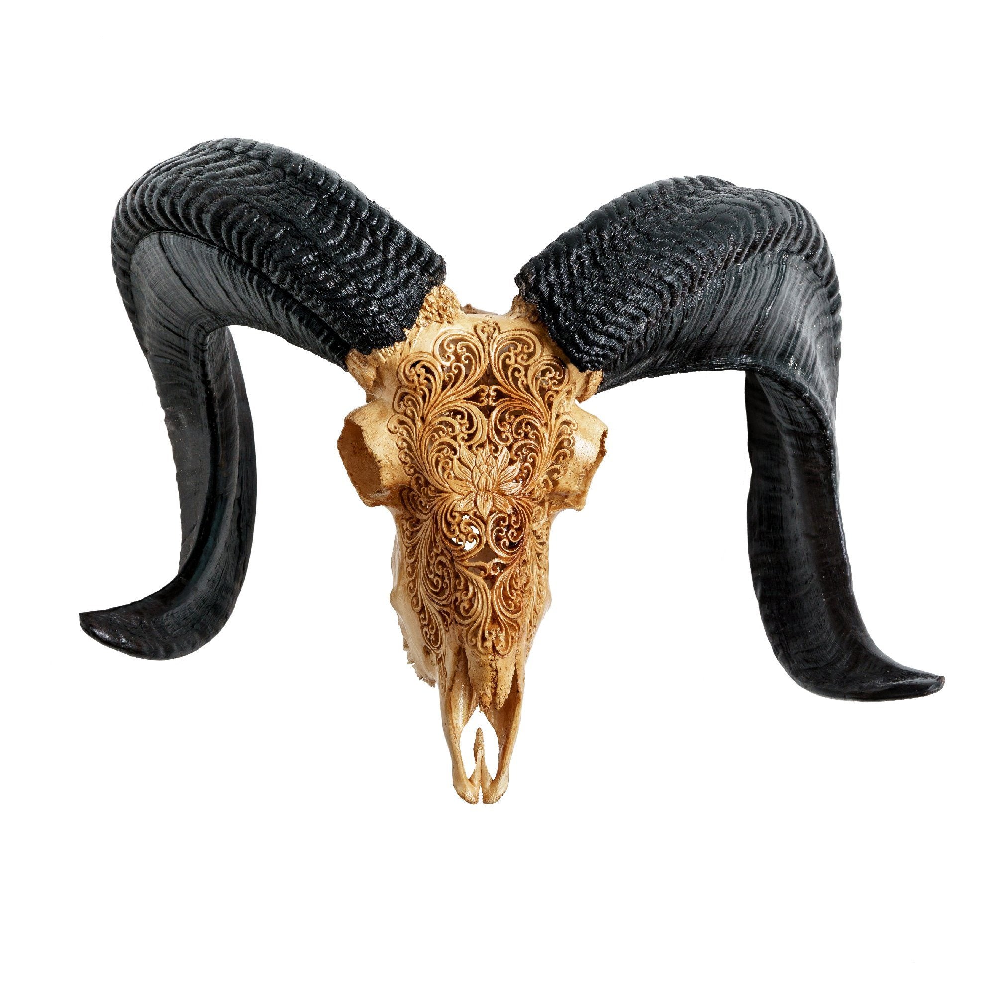 Hand Carved Ram Skull - Antique Lotus