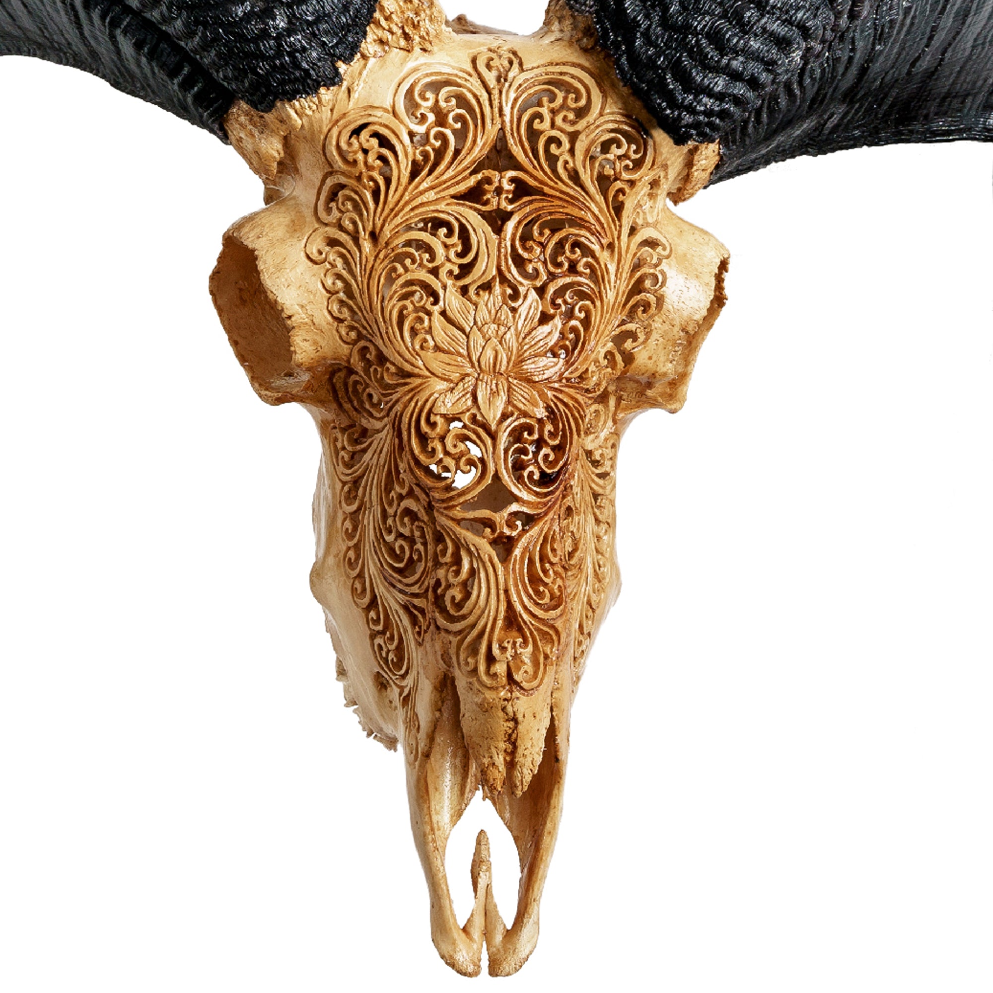 Hand Carved Ram Skull - Antique Lotus