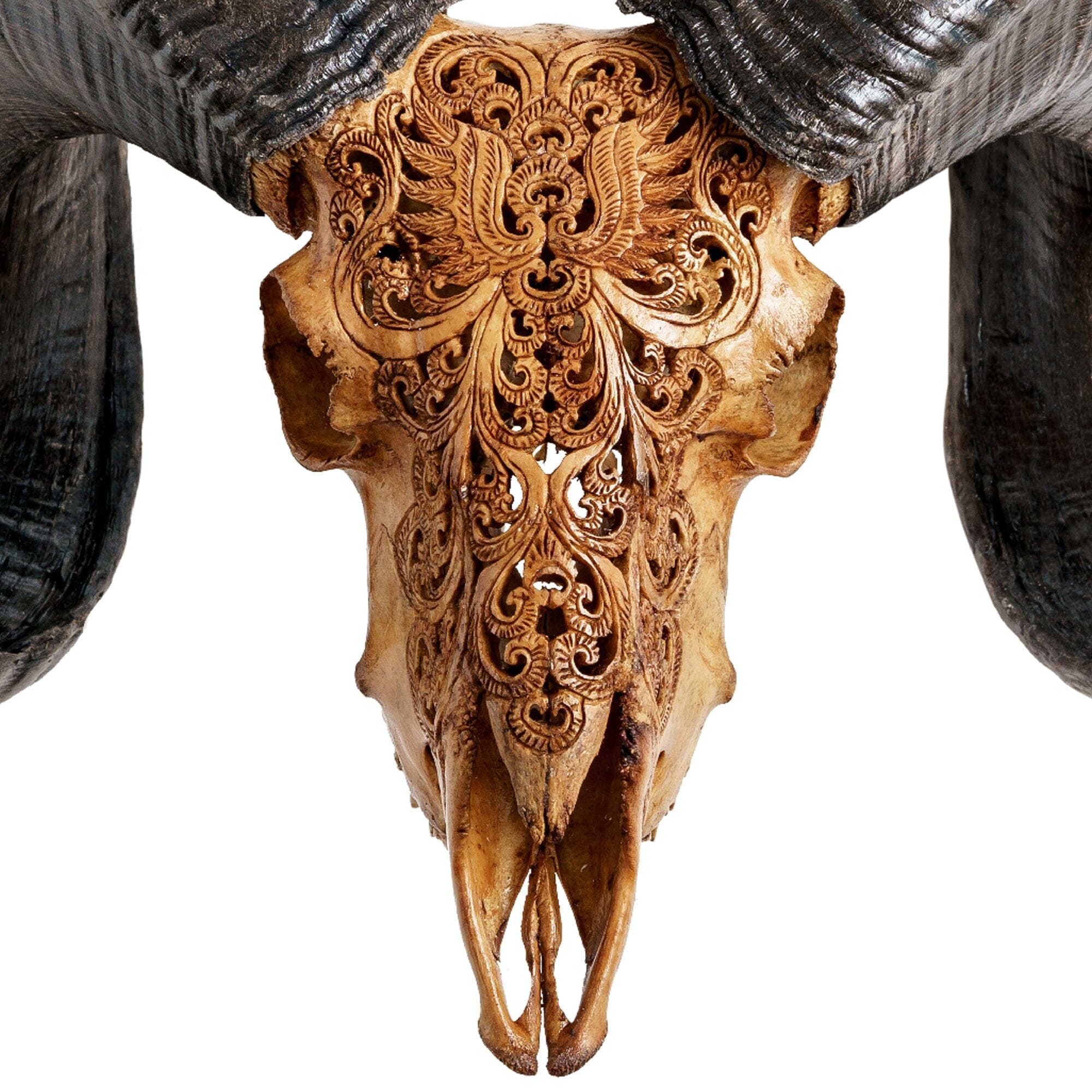 Hand Carved Ram Skull - Antique Phoenix