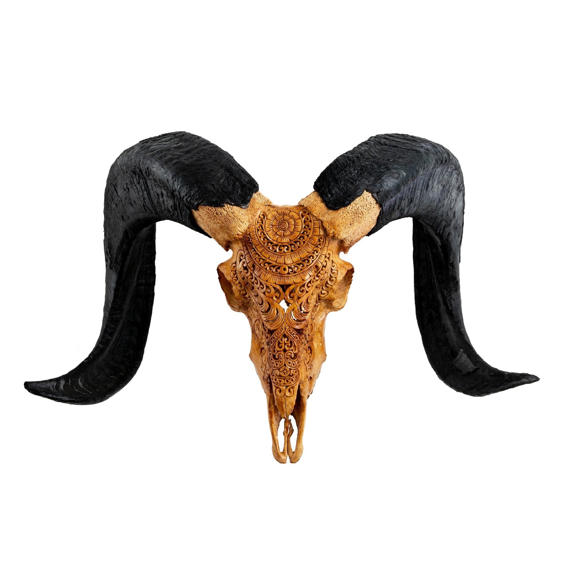 Hand Carved Ram Skull - Antique Boho