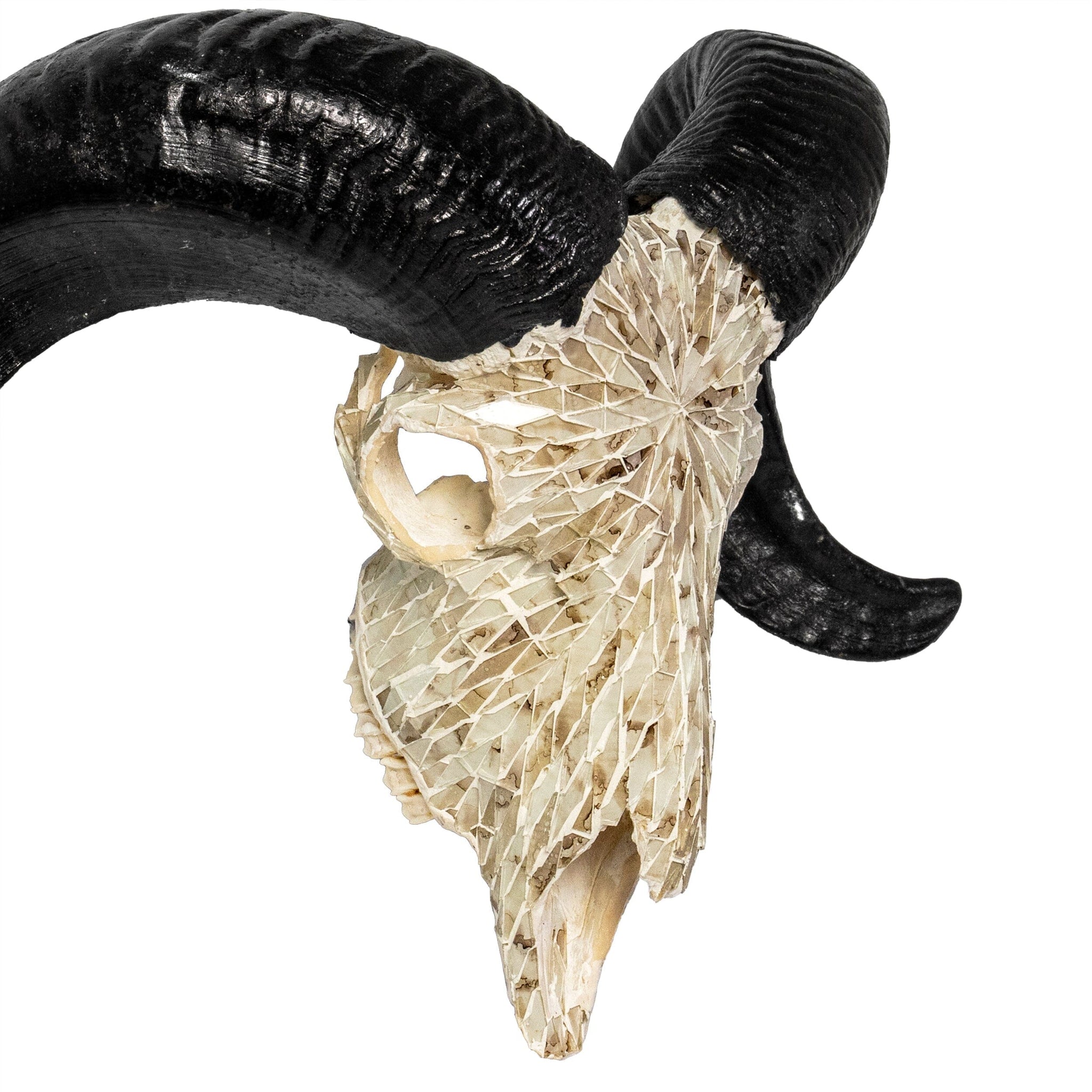 Ram Skull - Beige Mirror // Mosaic Finish