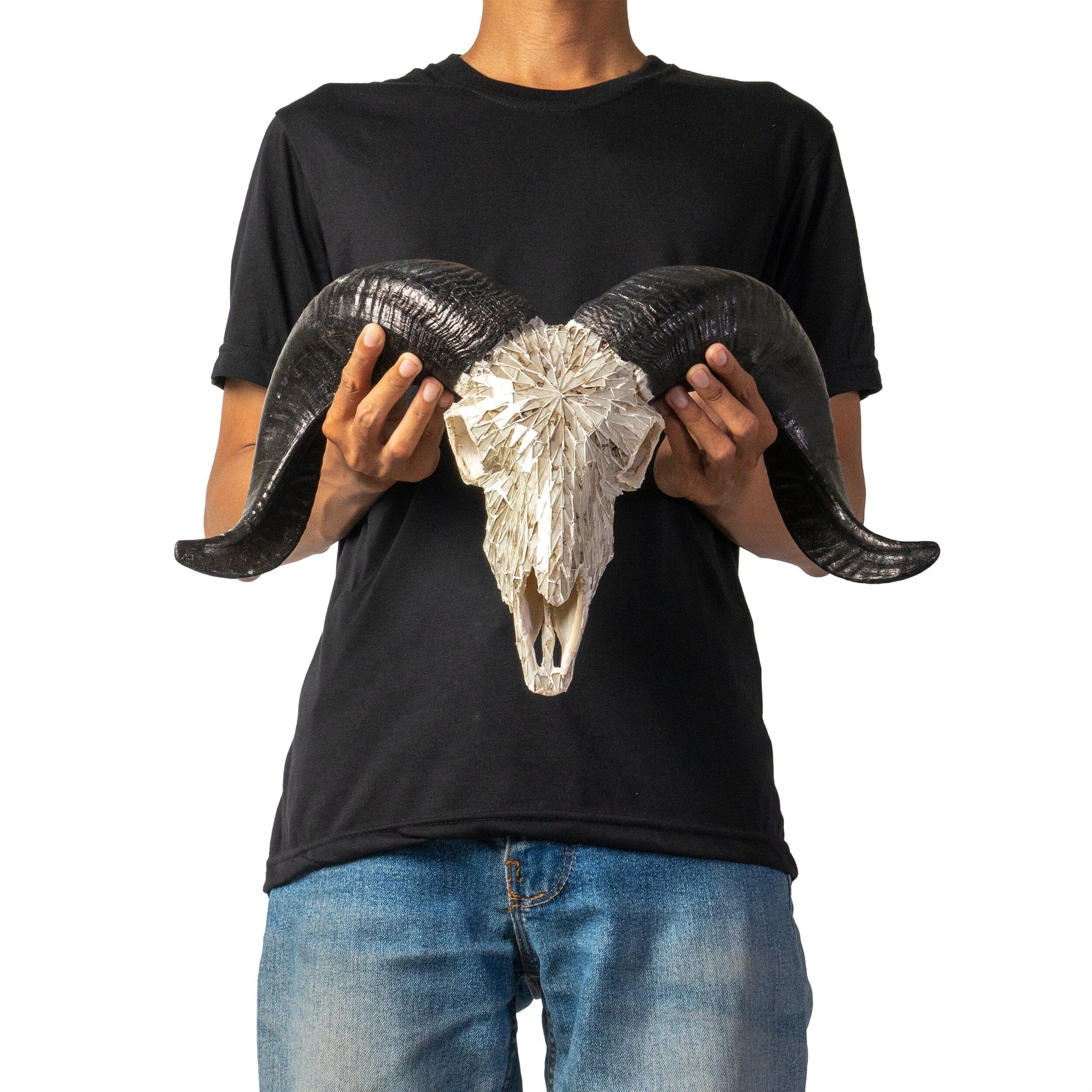 Ram Skull - Beige Mirror // Mosaic Finish