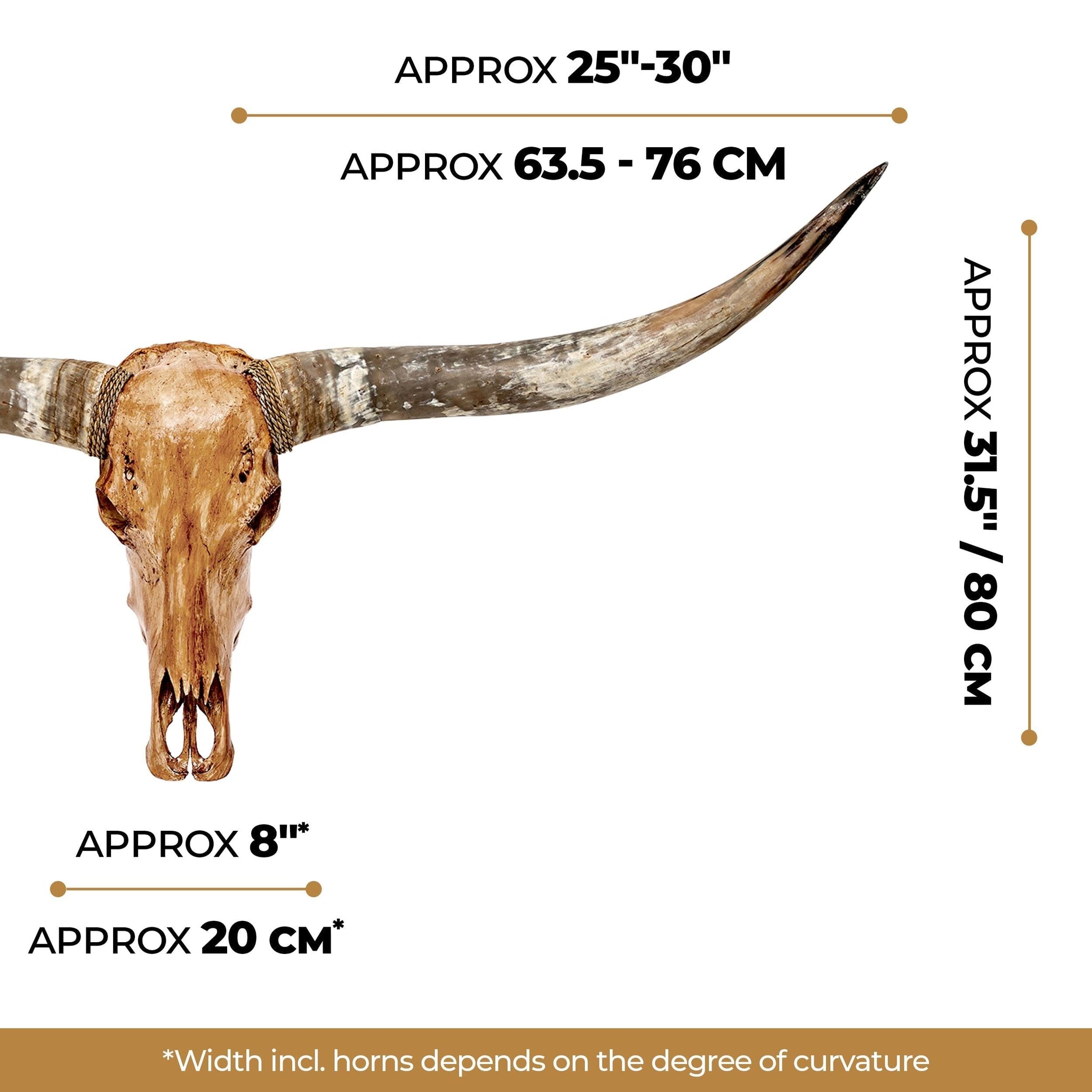 Longhorn Skull - Antique Storm