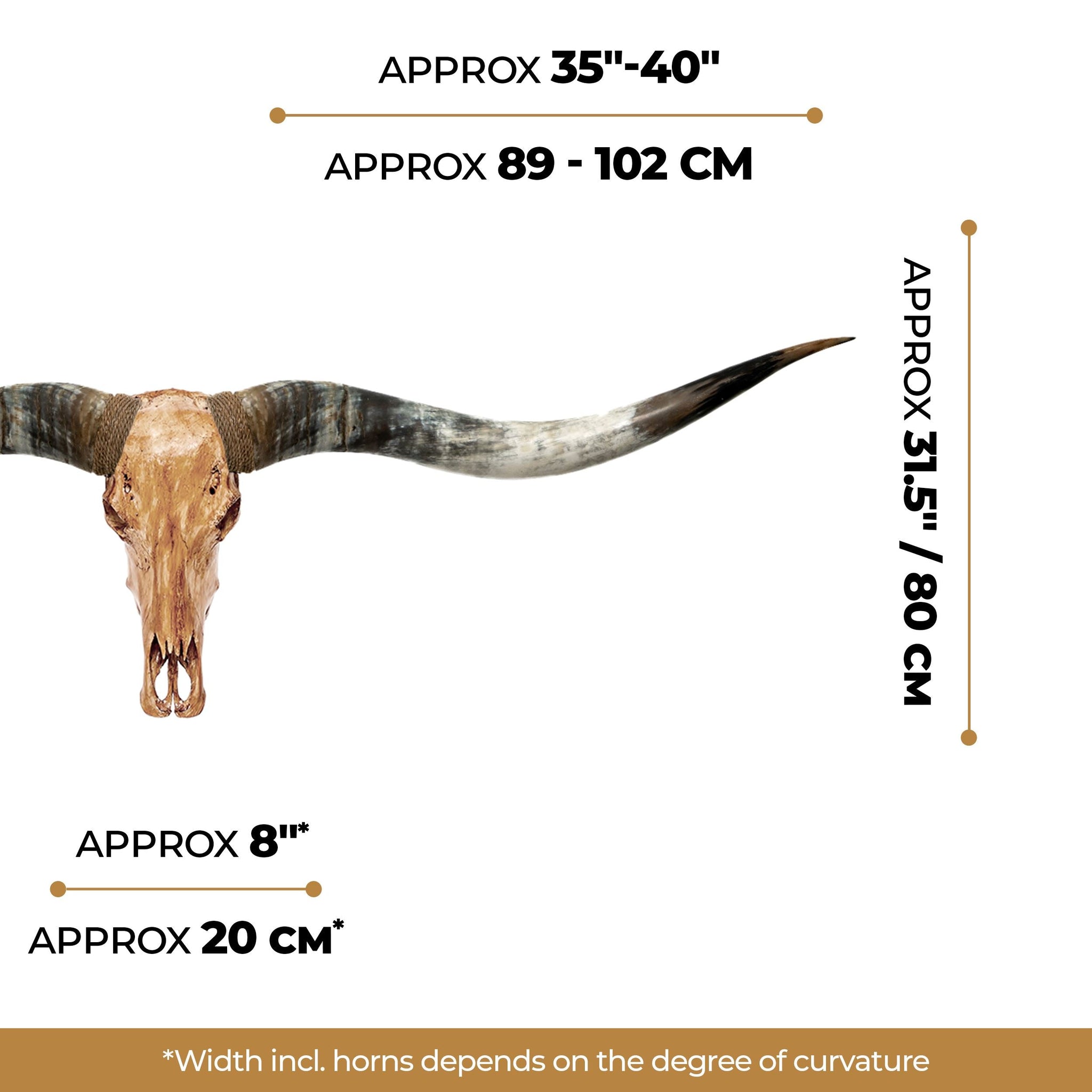 Longhorn Skull // XL Horns - Antique Storm
