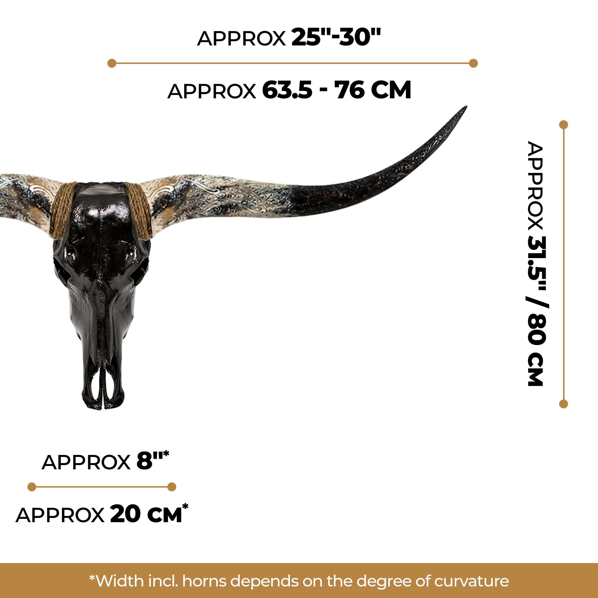 Longhorn Skull - Black Storm