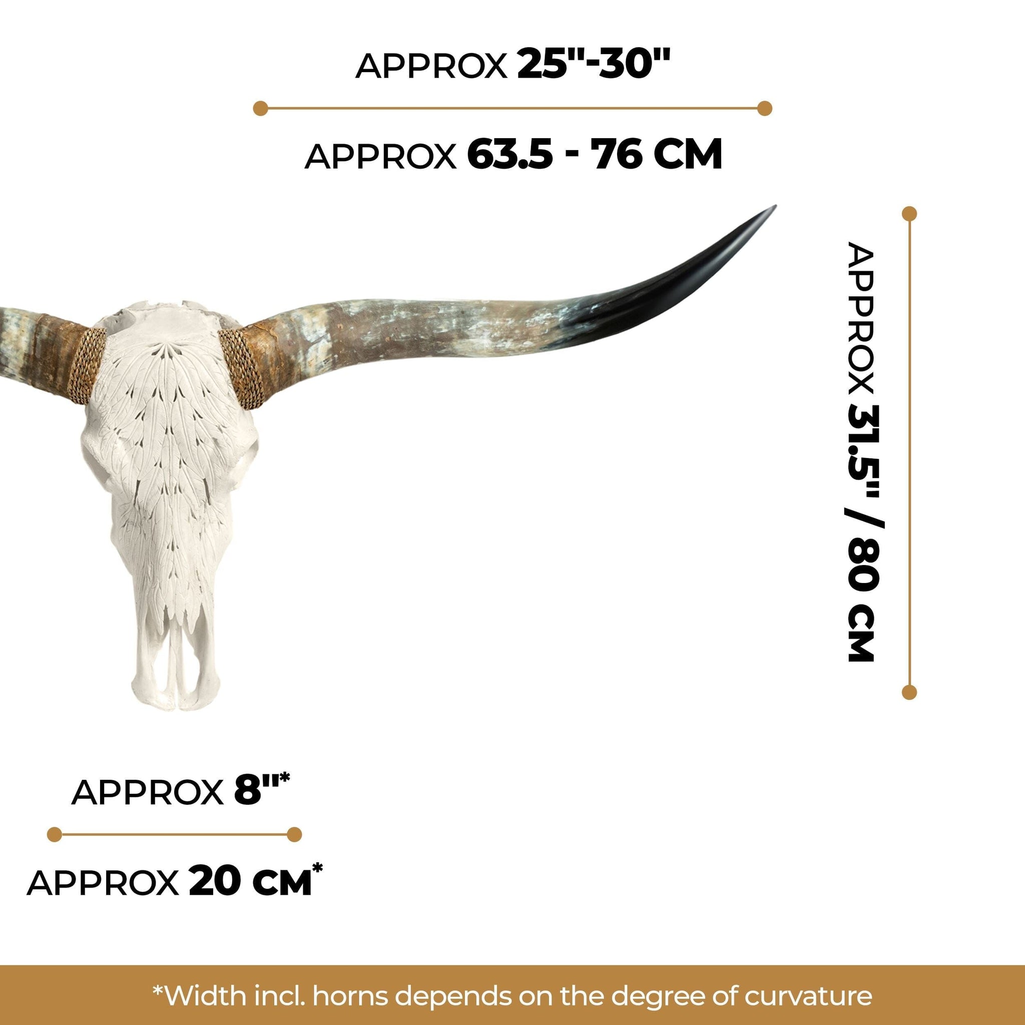 Hand Carved Longhorn Skull - White Feathers
