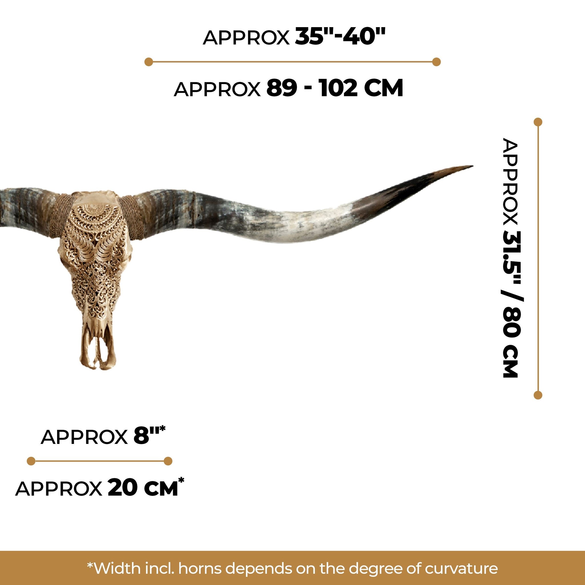Hand Carved Longhorn Skull // XL Horns -  Golden Boho
