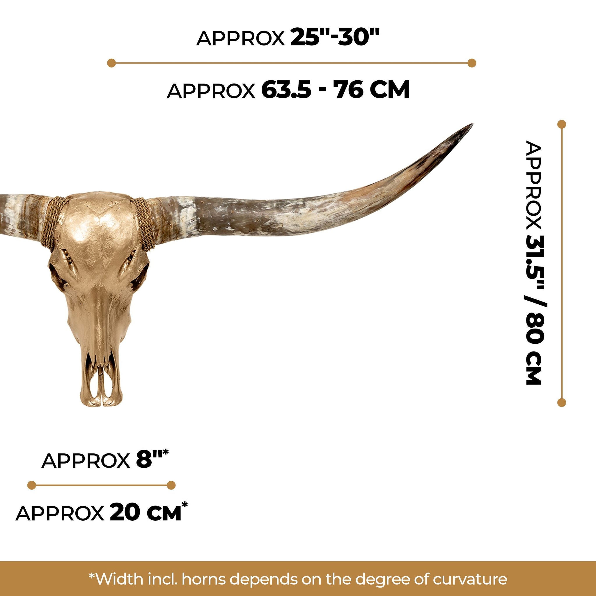 Longhorn Skull - Golden Storm