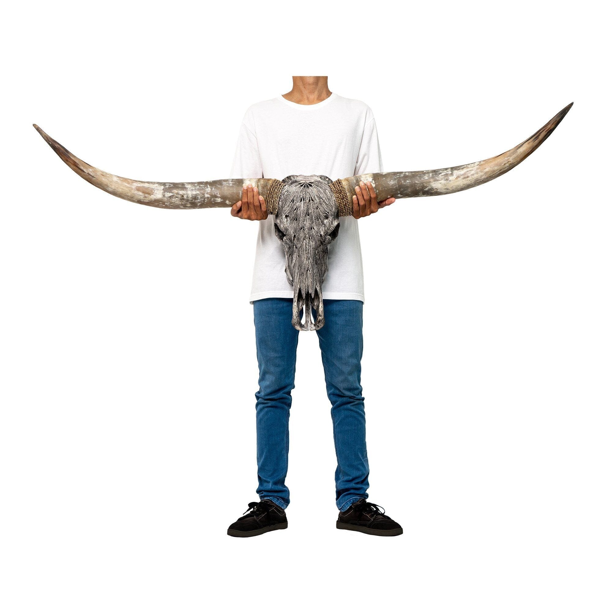 Hand Carved Longhorn Skull - Gray Feathers