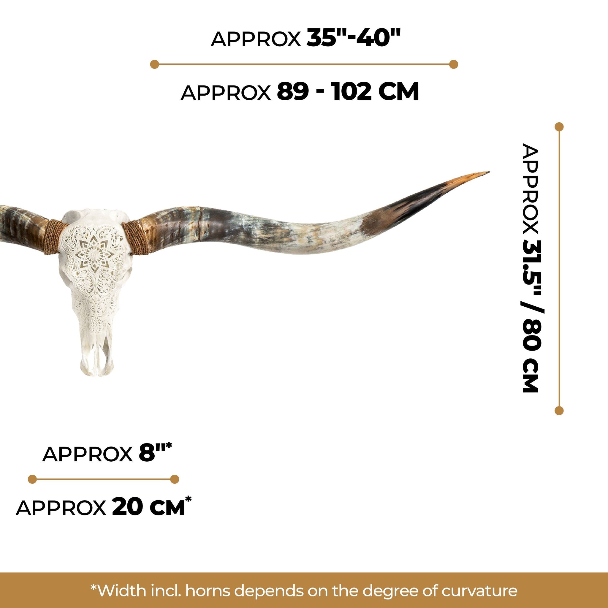 Hand Carved Longhorn Skull // XL Horns - White Mandala