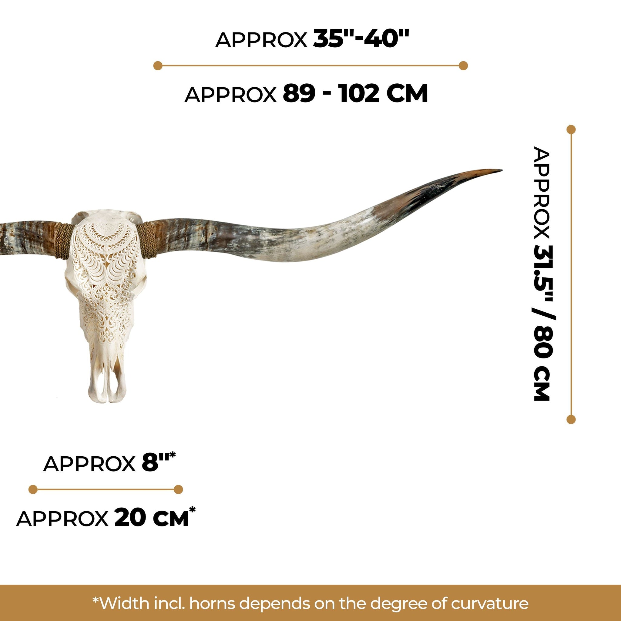 Hand Carved Longhorn Skull // XL Horns - White Boho