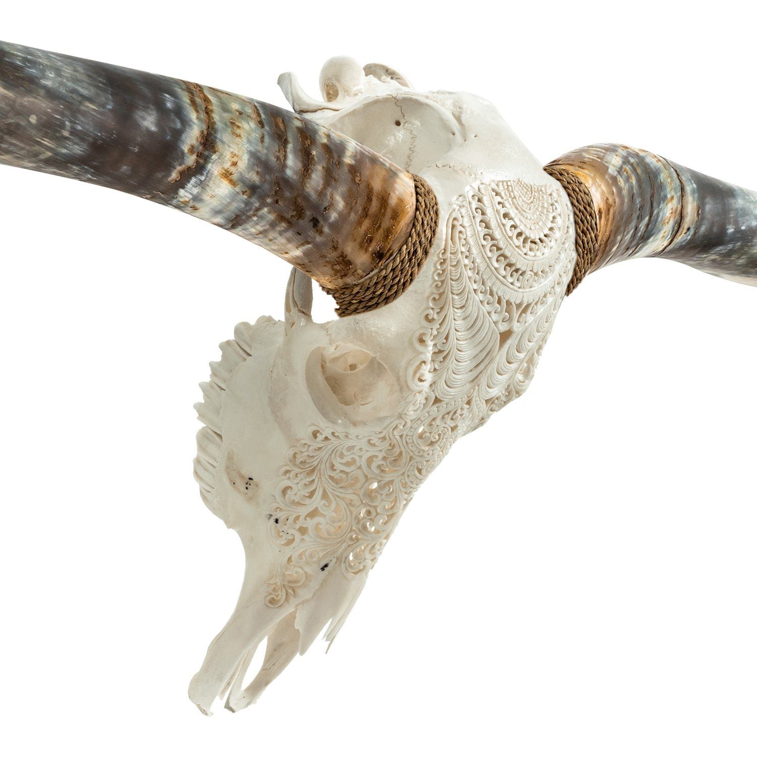 Hand Carved Longhorn Skull // XL Horns - White Boho