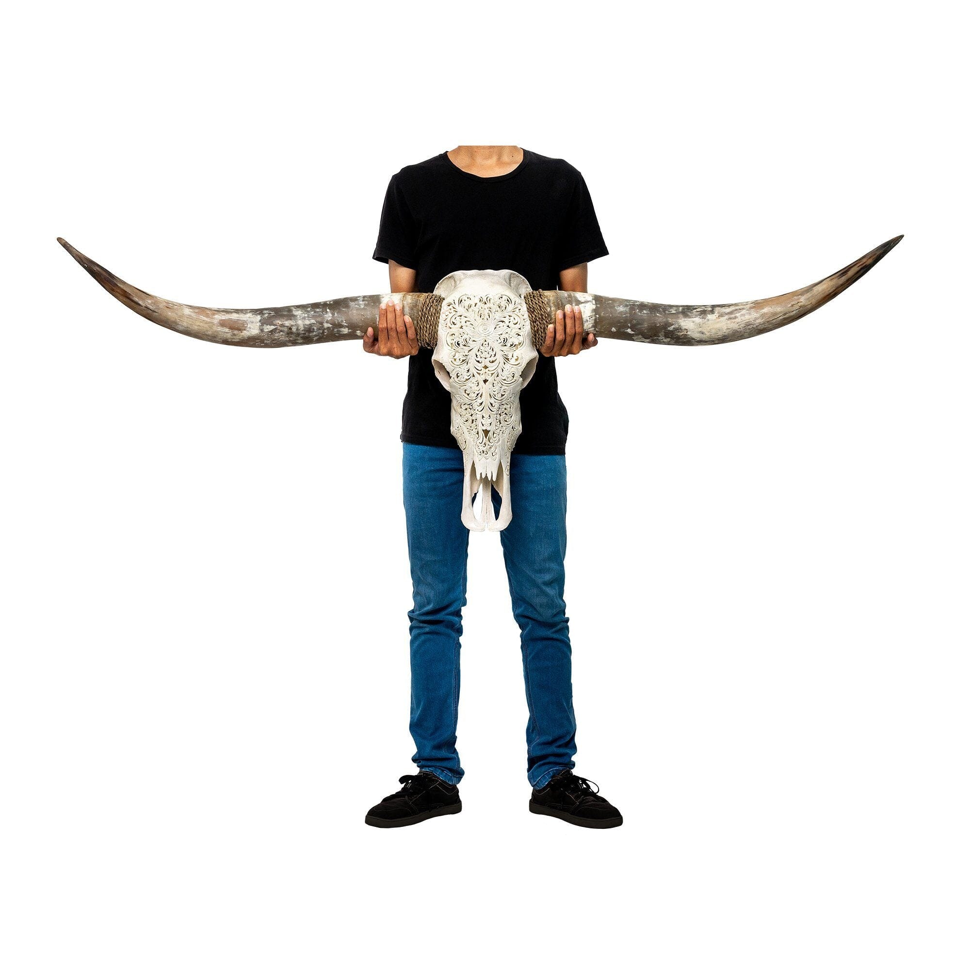 Hand Carved Longhorn Skull - White Predator