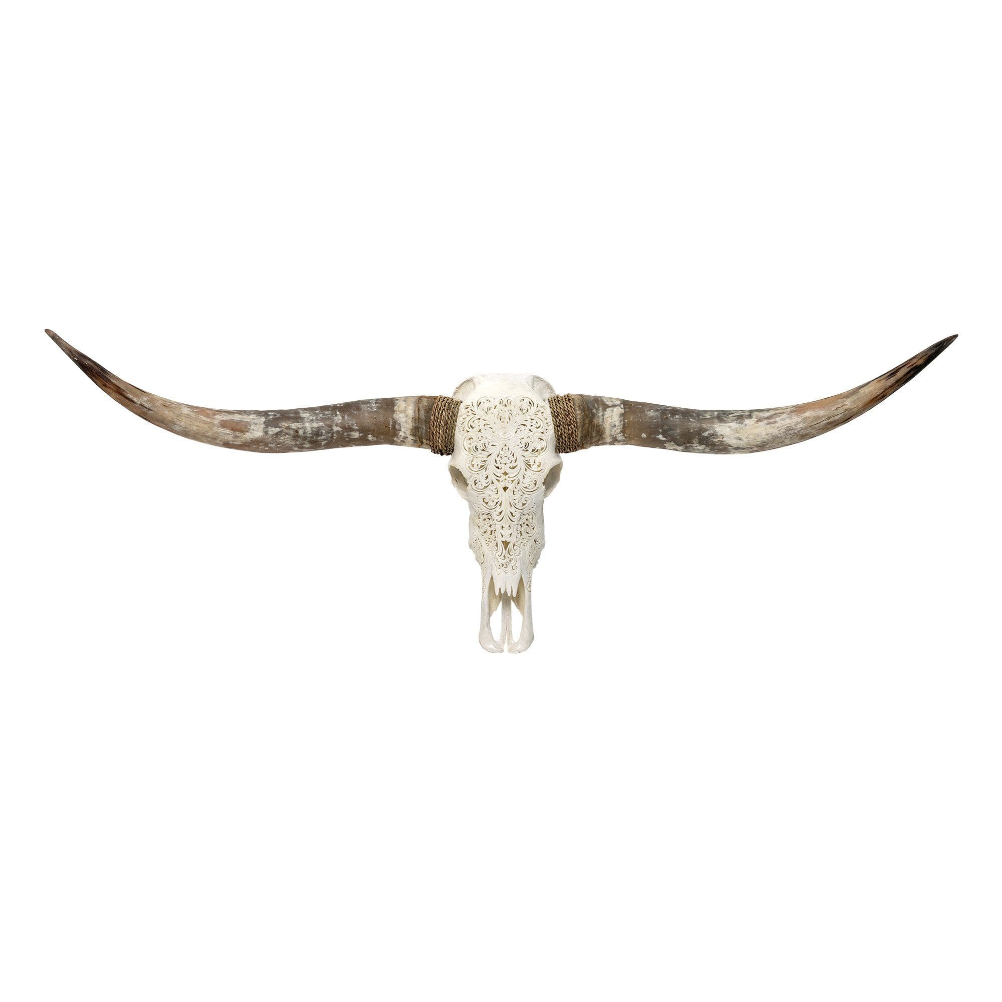 Hand Carved Longhorn Skull - White Predator