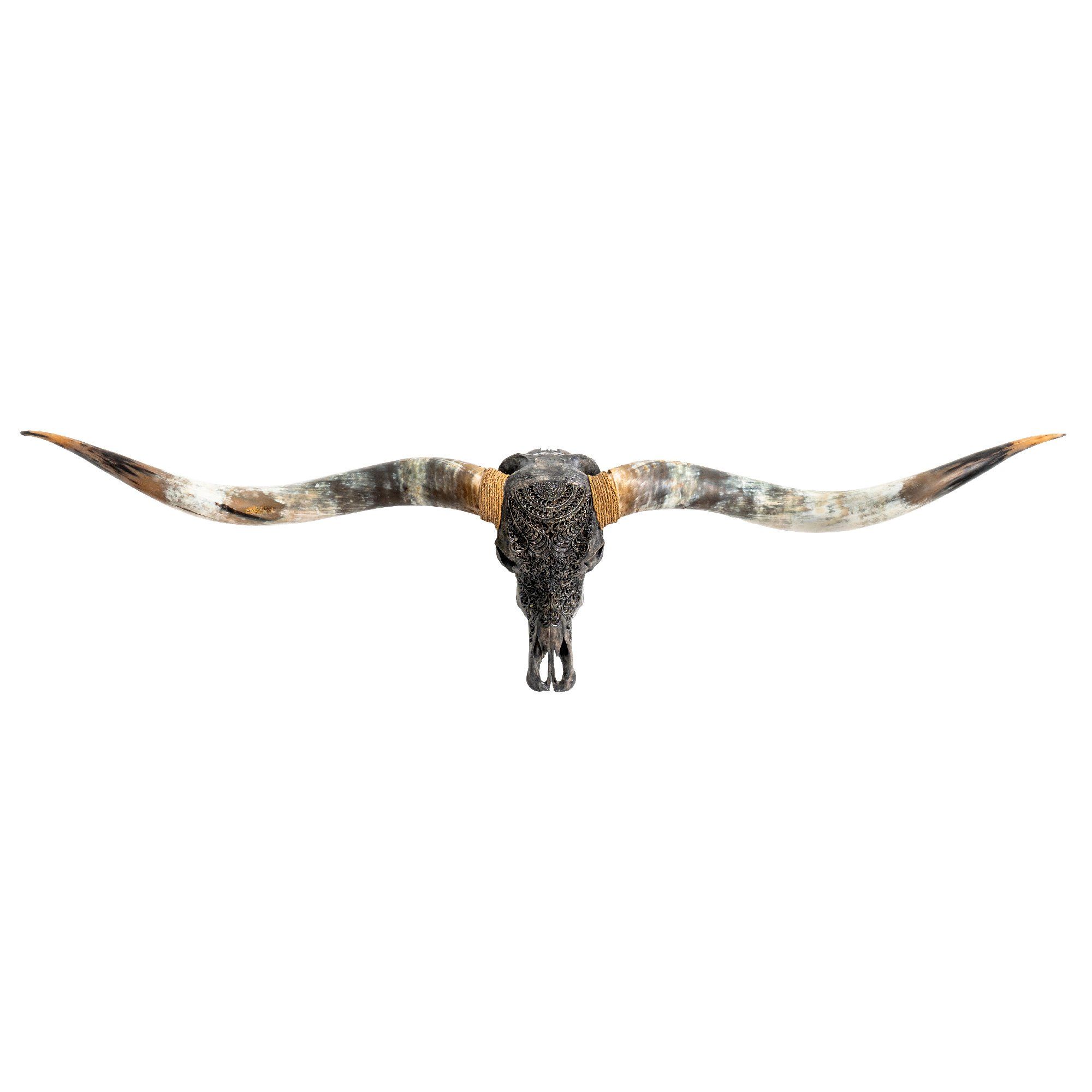 Hand Carved Longhorn Skull // XL Horns - Gray Boho