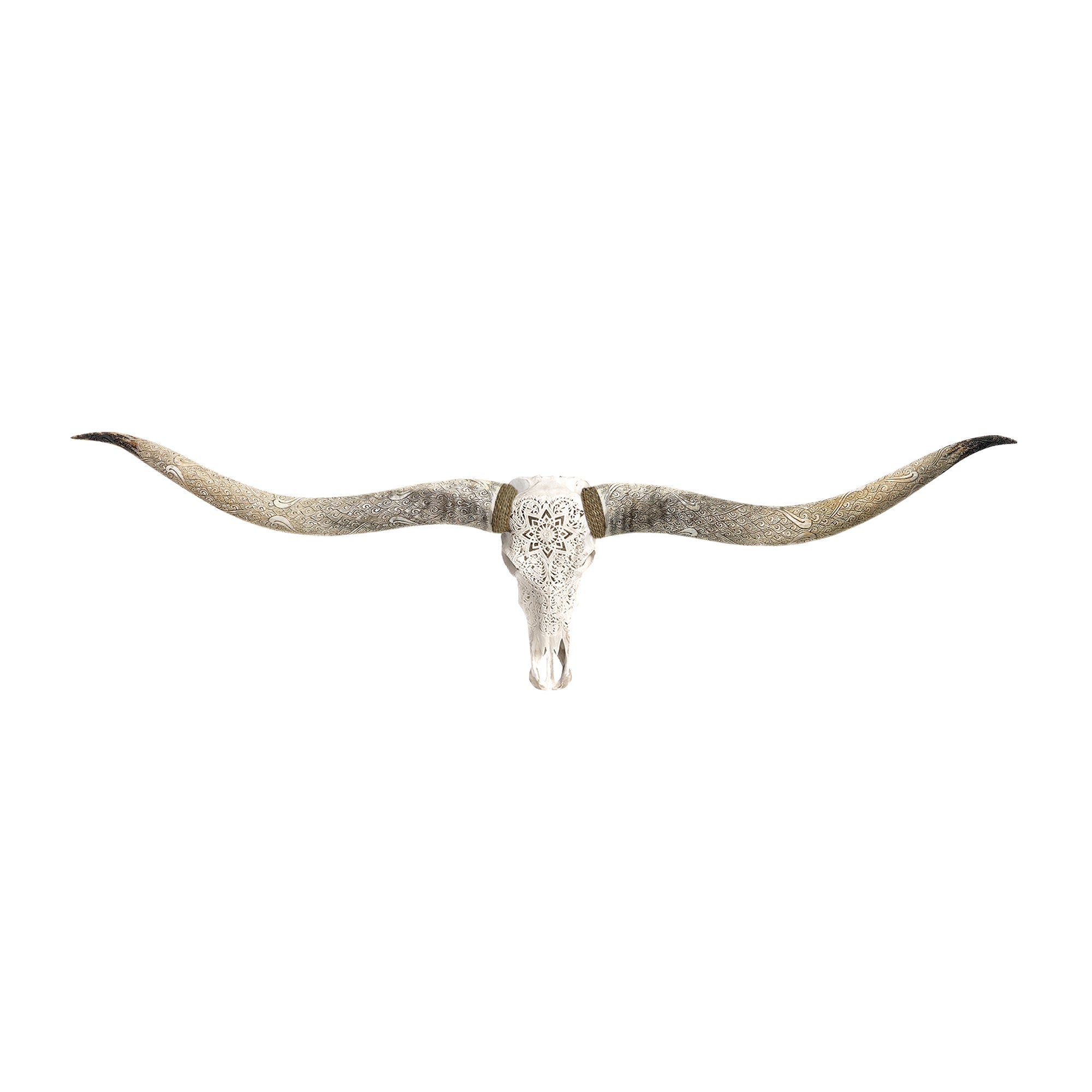 Hand Carved Longhorn Skull // XL Horns - White Mandala